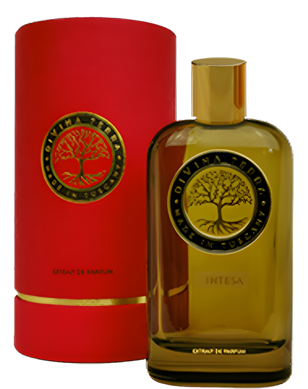 07 Intesa by DiVina Terra perfume bottle