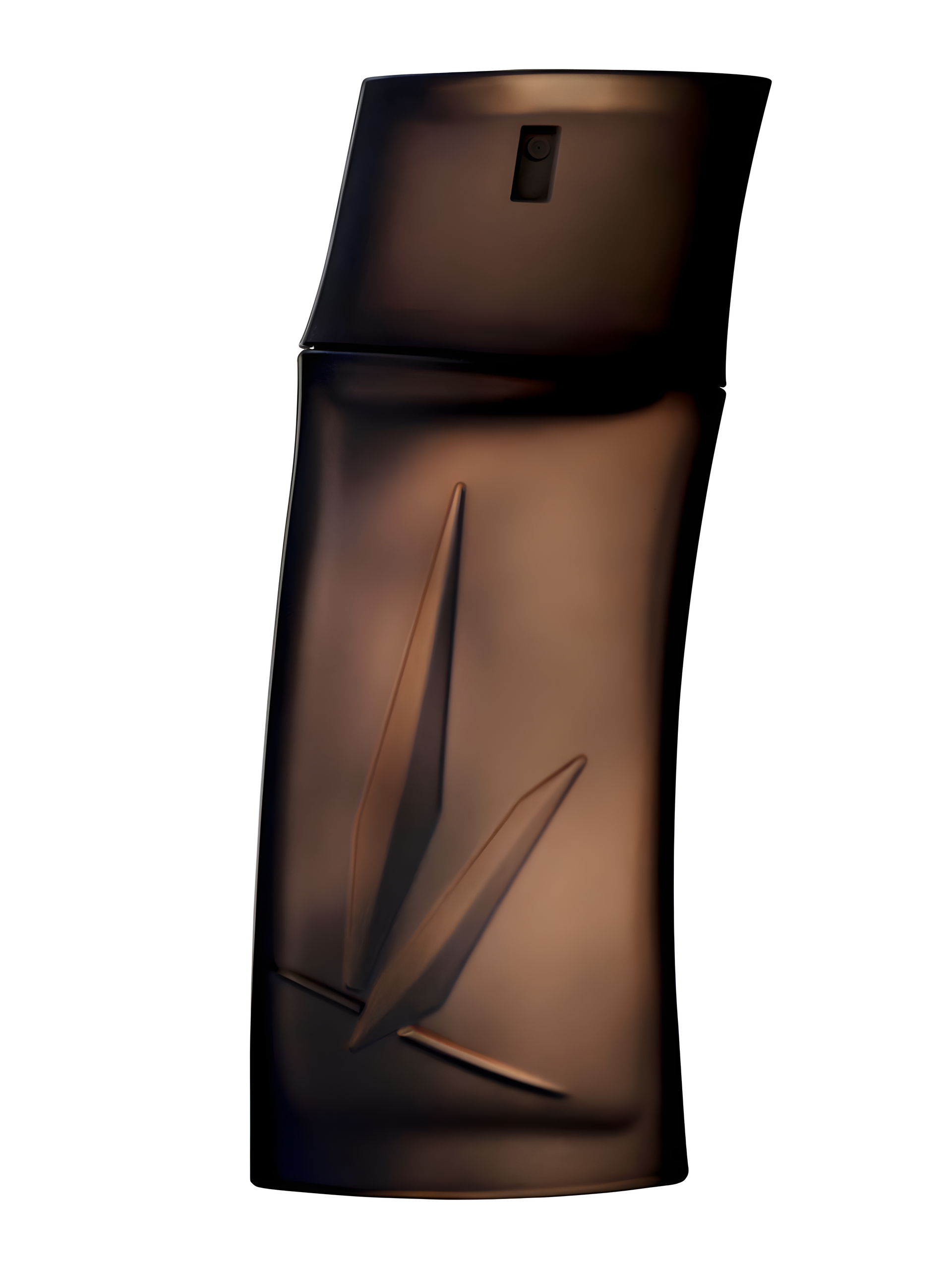 Kenzo Homme Boisee by Kenzo perfume bottle