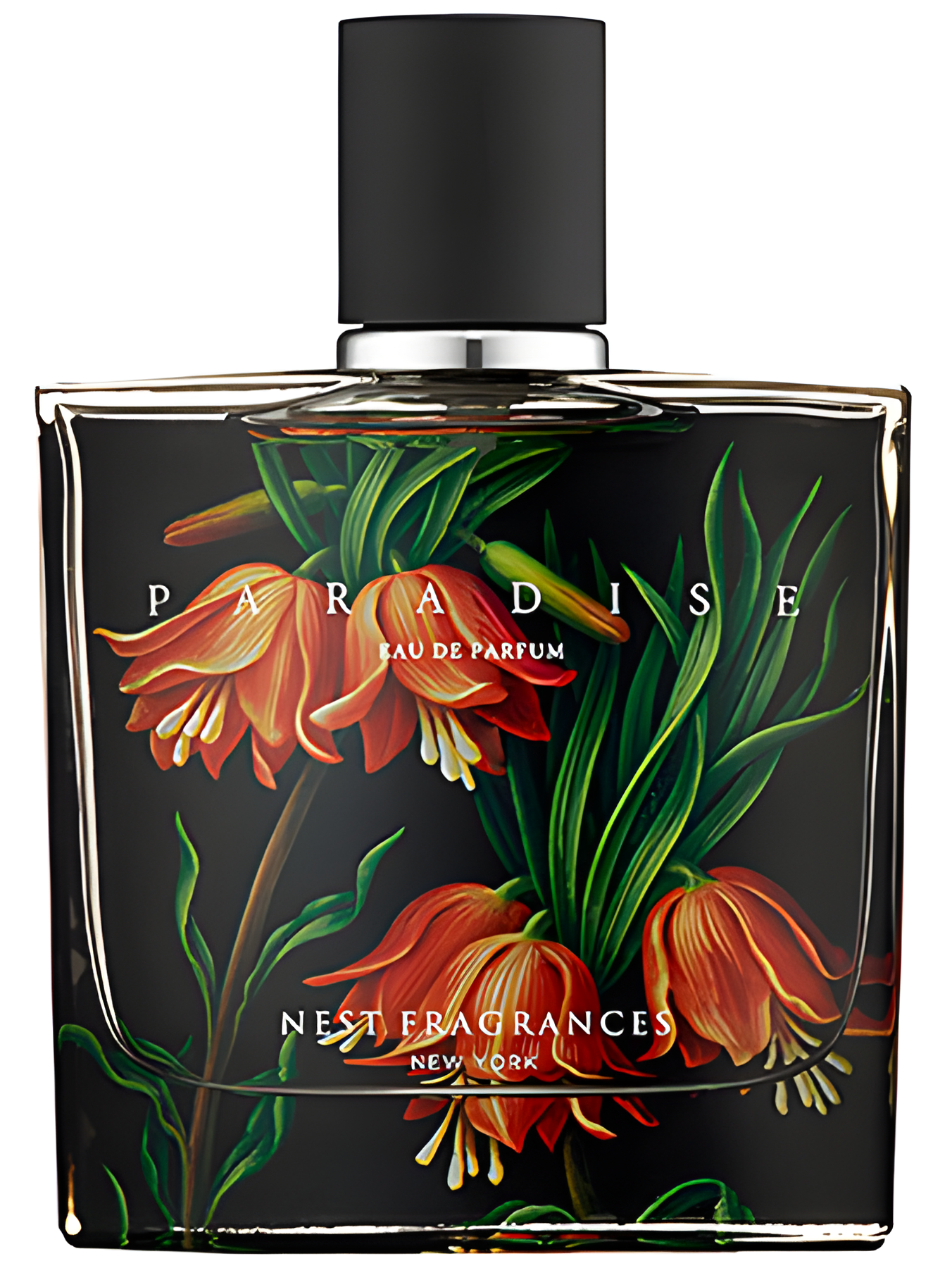 Paradise by Nest perfume bottle