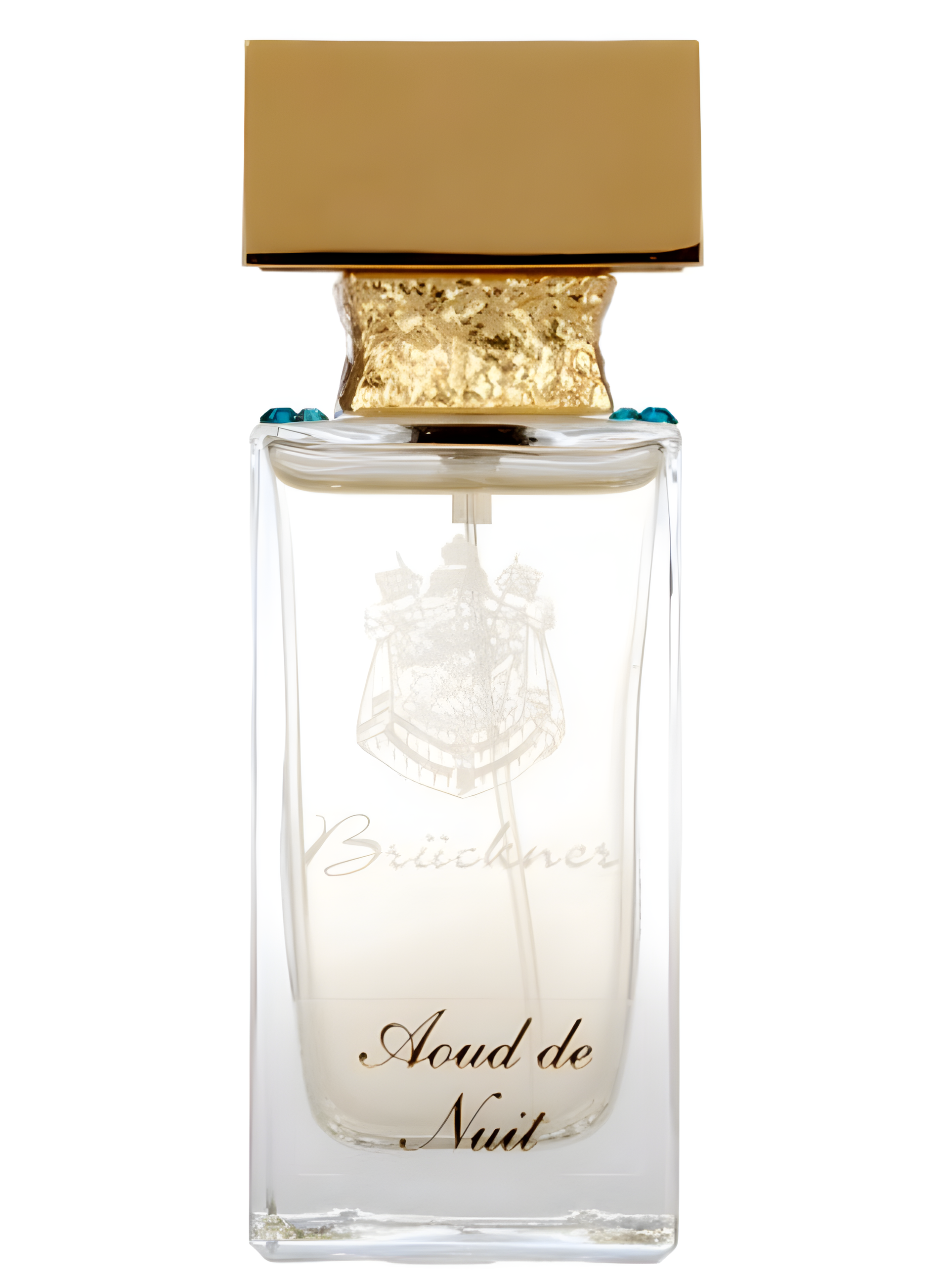 Aoud de Nuit by Parfumerie Bruckner perfume bottle