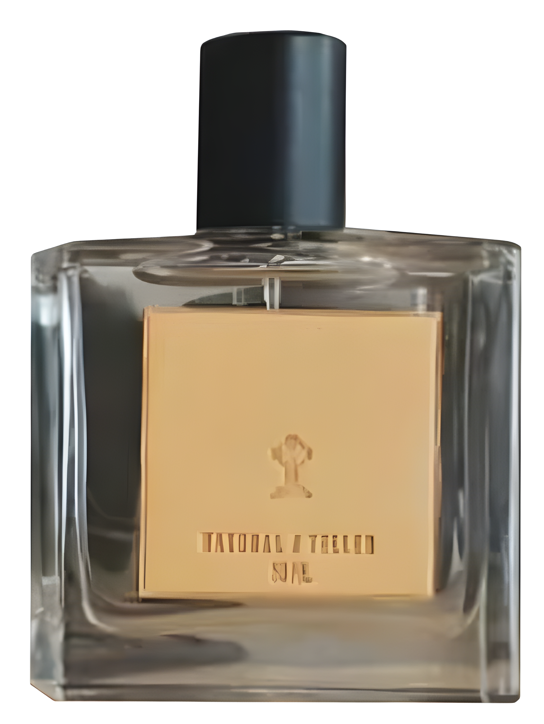 Collapse by Natural Teller perfume bottle