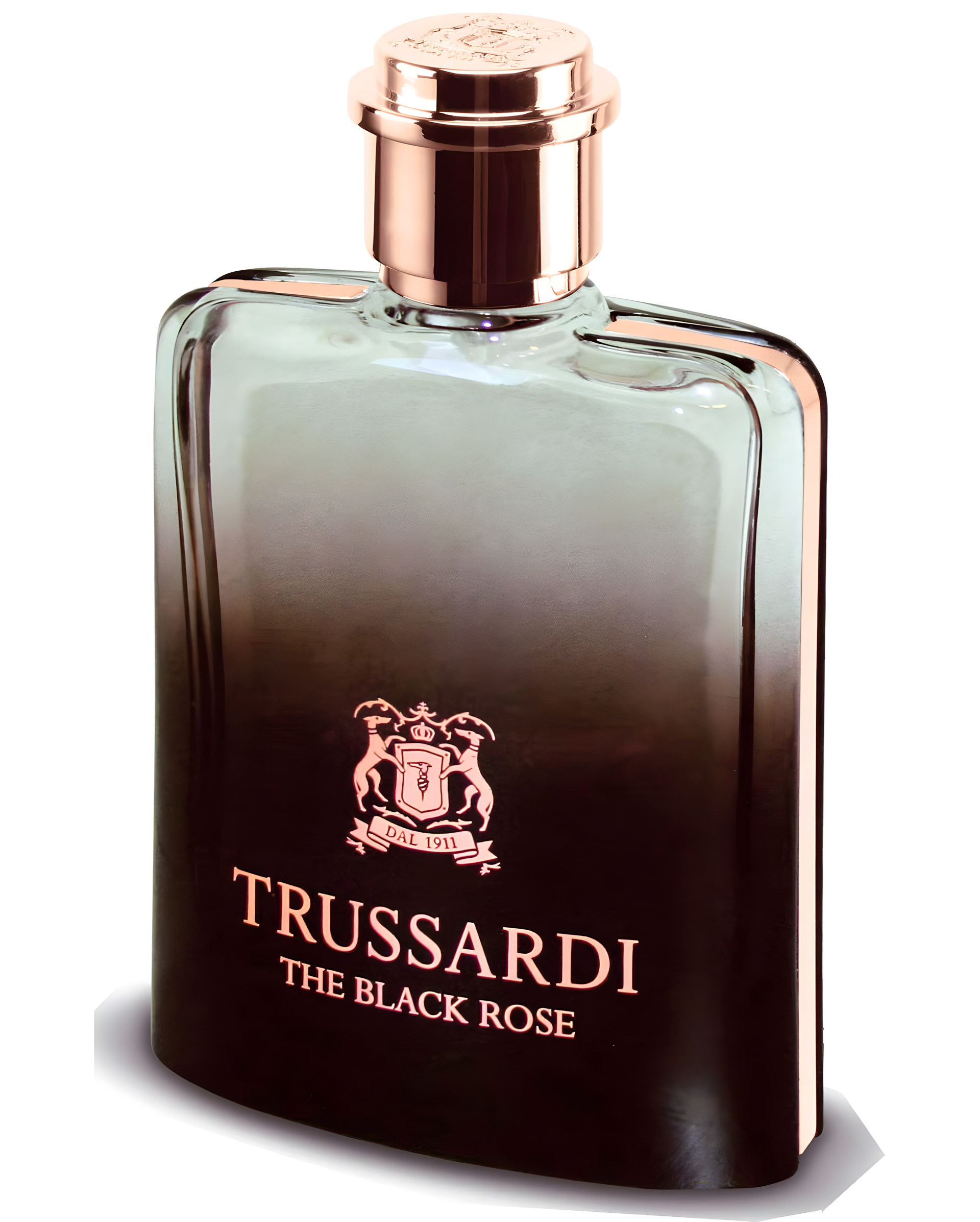 The Black Rose by Trussardi perfume bottle