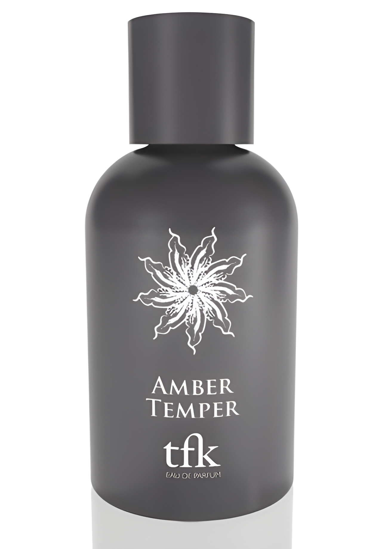 The Fragrance Kitchen Amber Temper