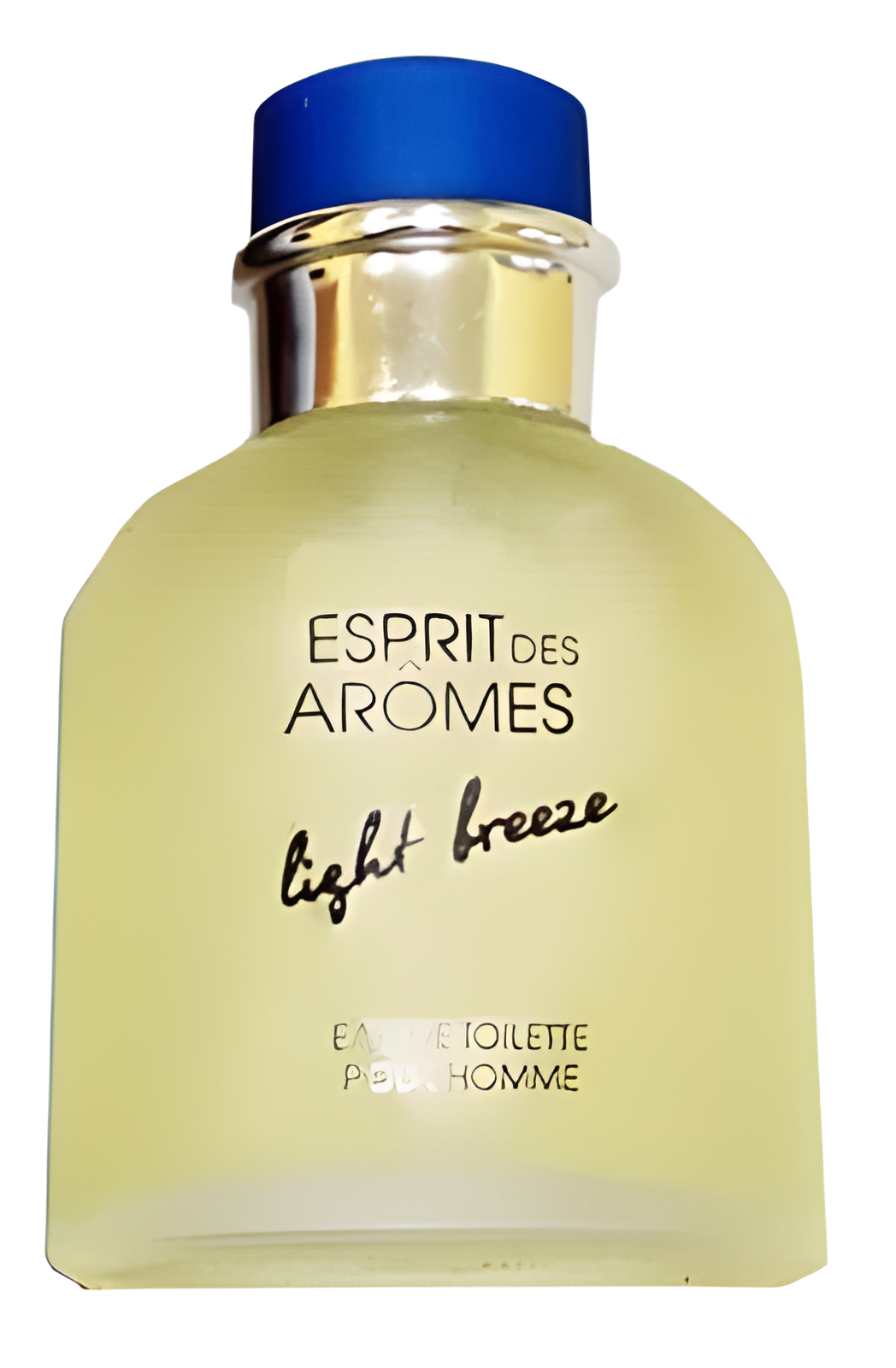 Light Breeze Pour Homme by Новая Заря (The New Dawn) perfume bottle