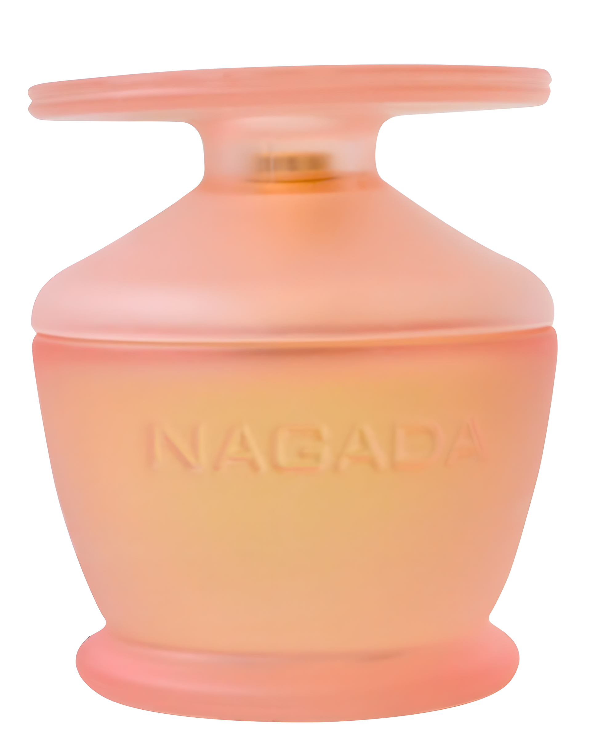 Rose de Nagada by Pascal Morabito perfume bottle