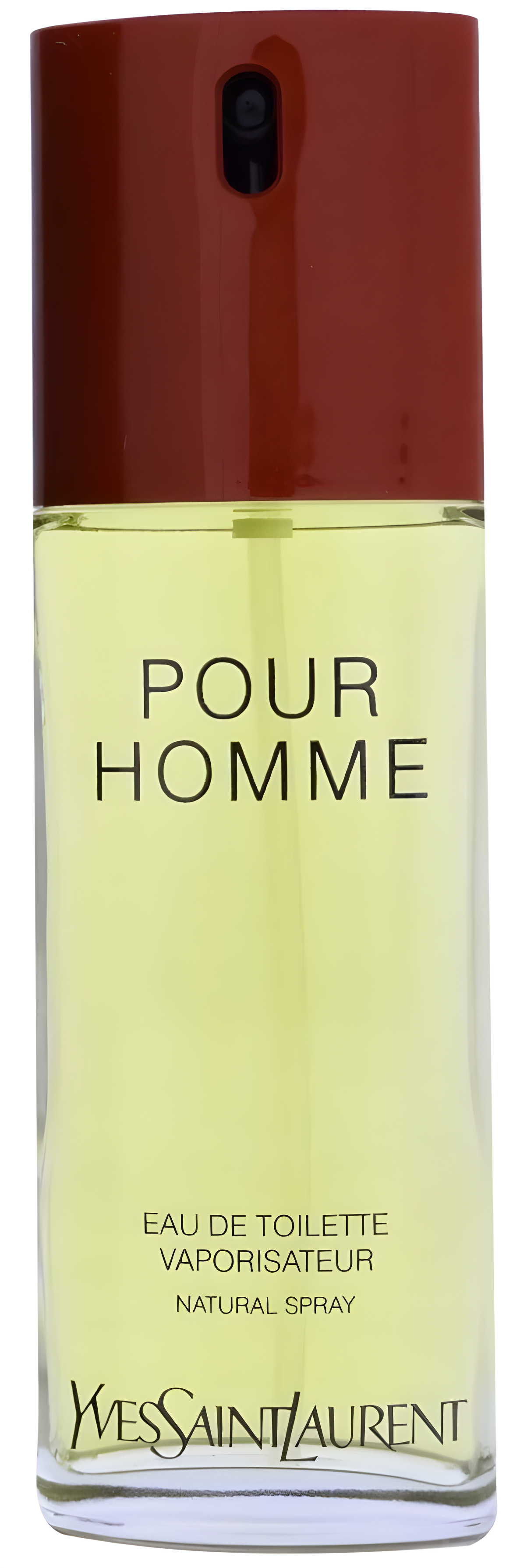 Yves Saint Laurent Pour Homme by Yves Saint Laurent perfume bottle