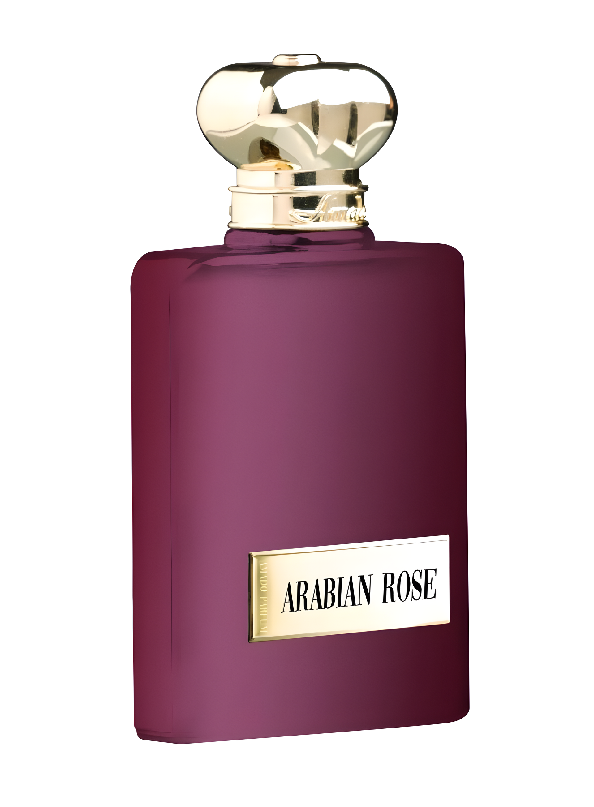 Arabian Rose by Amado perfume bottle