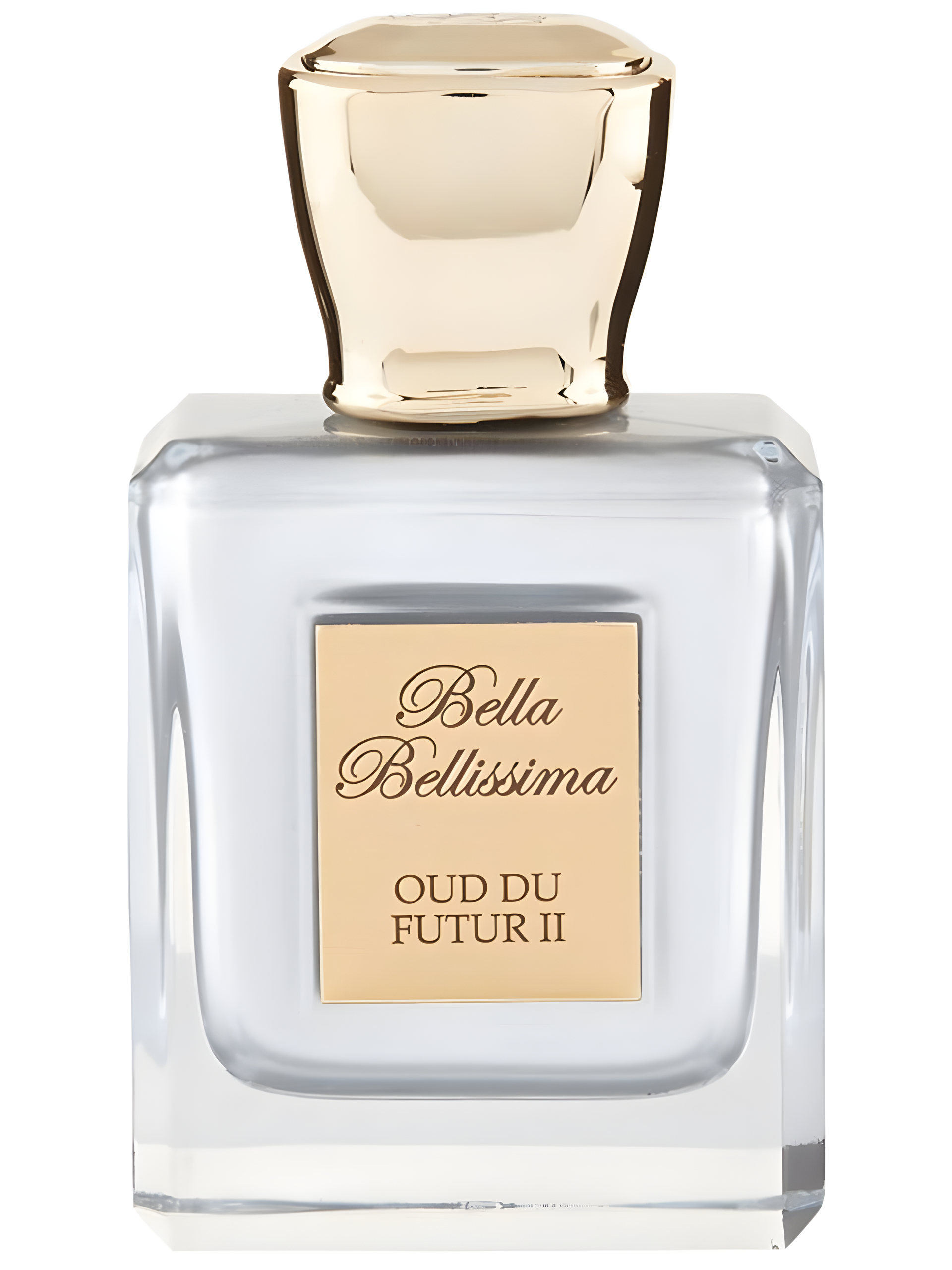 Oud Du Futur II by Bella Bellissima perfume bottle