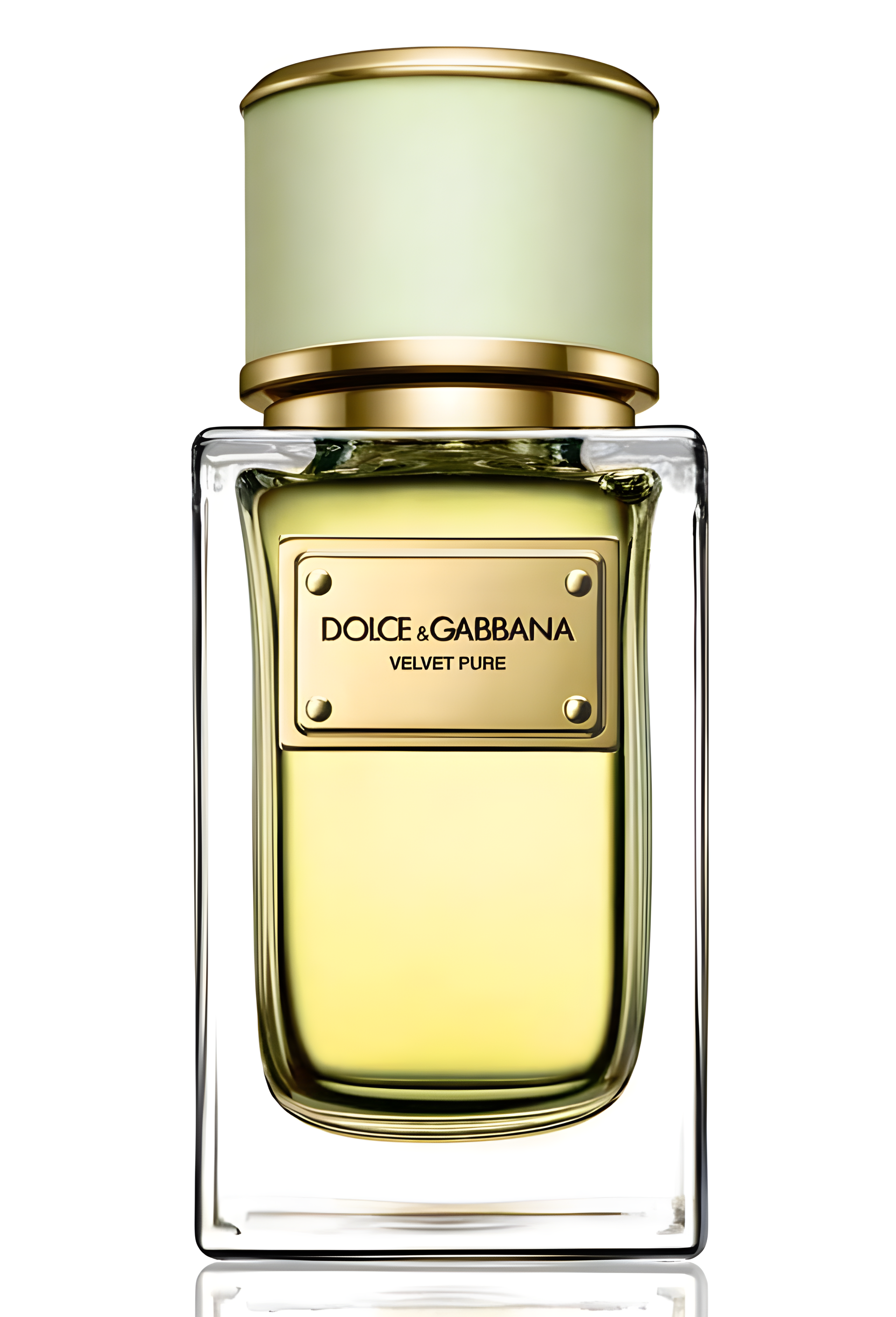 Velvet Pure by Dolce&Gabbana perfume bottle