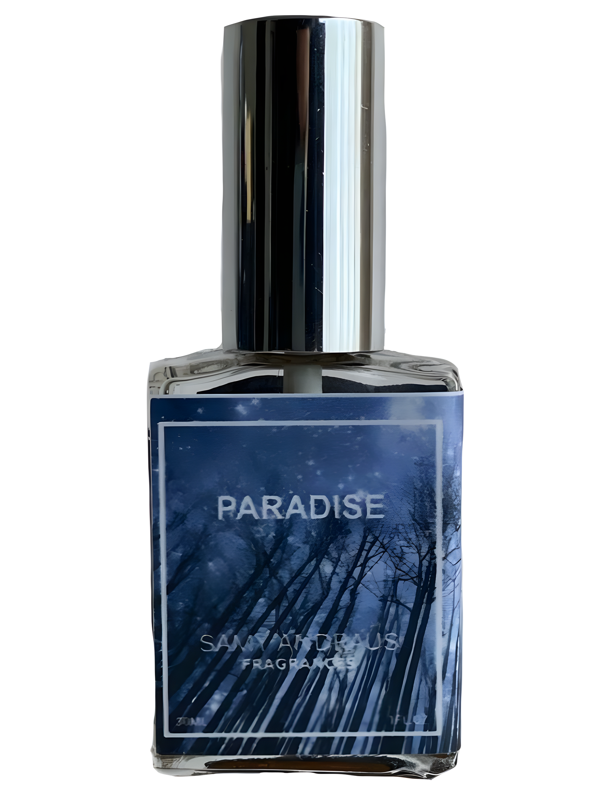 Paradise by Samy Andraus Fragrances perfume bottle