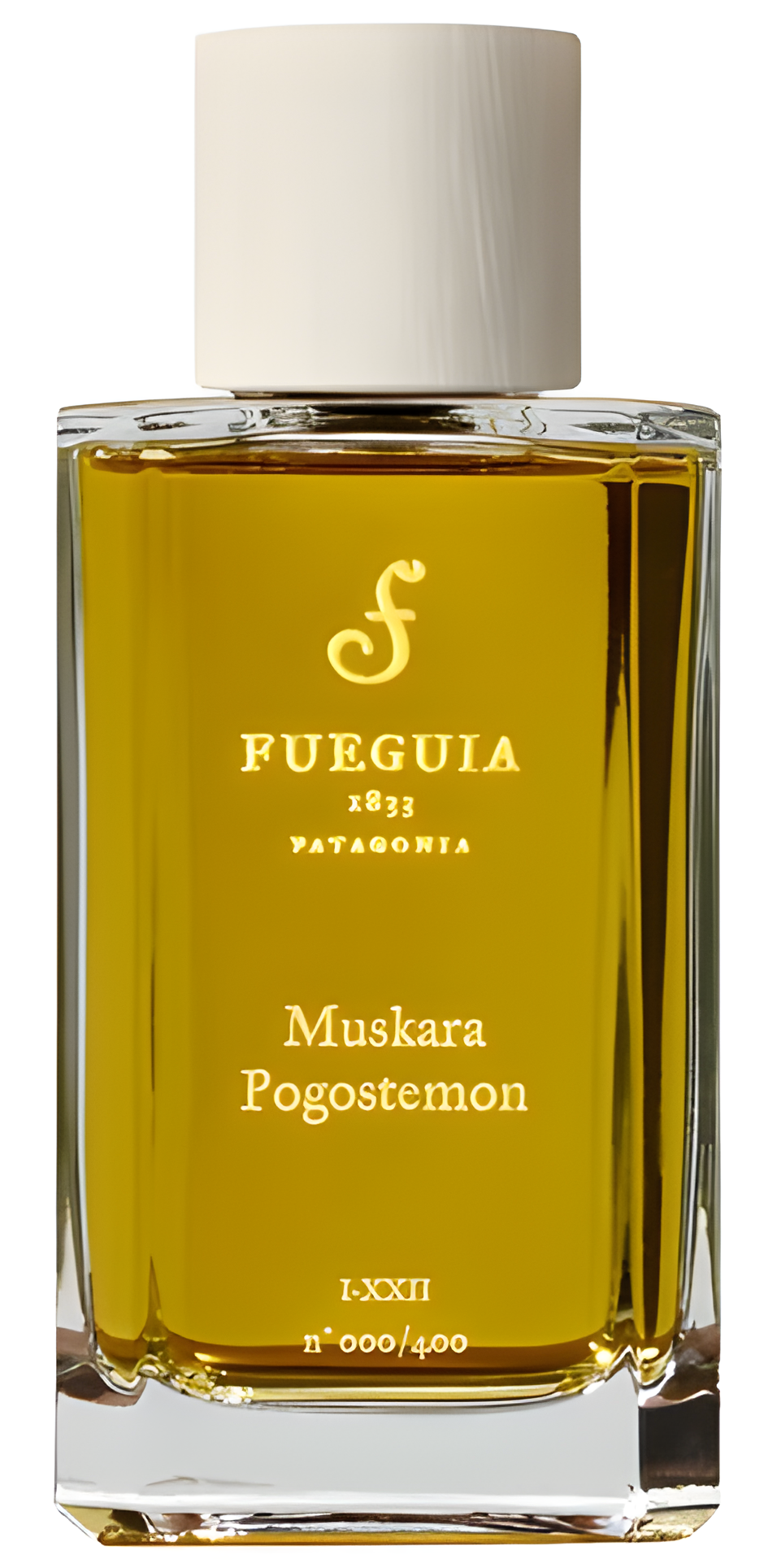 Muskara Pogostemon by Fueguia 1833 perfume bottle