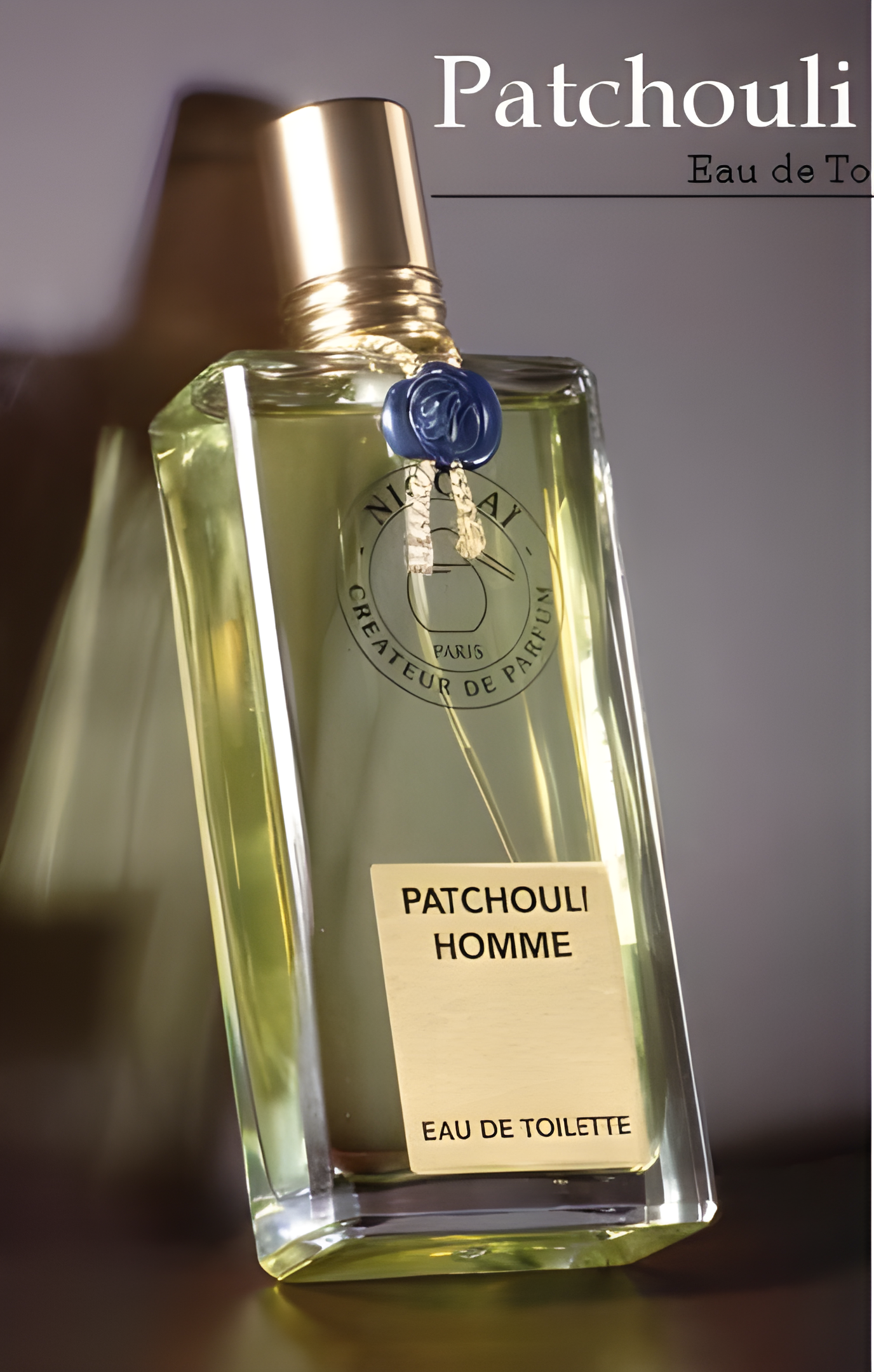 Patchouli Homme by Nicolai Parfumeur Createur perfume bottle