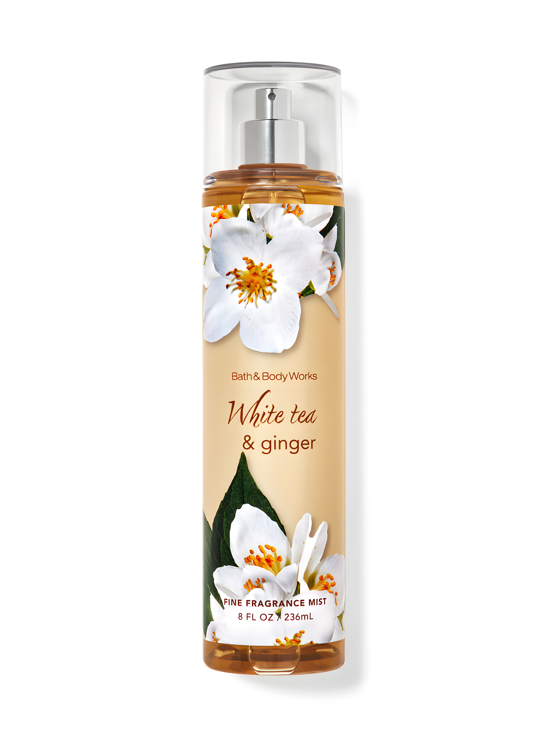 White Tea and Ginger by Bath & Body Works perfume bottle
