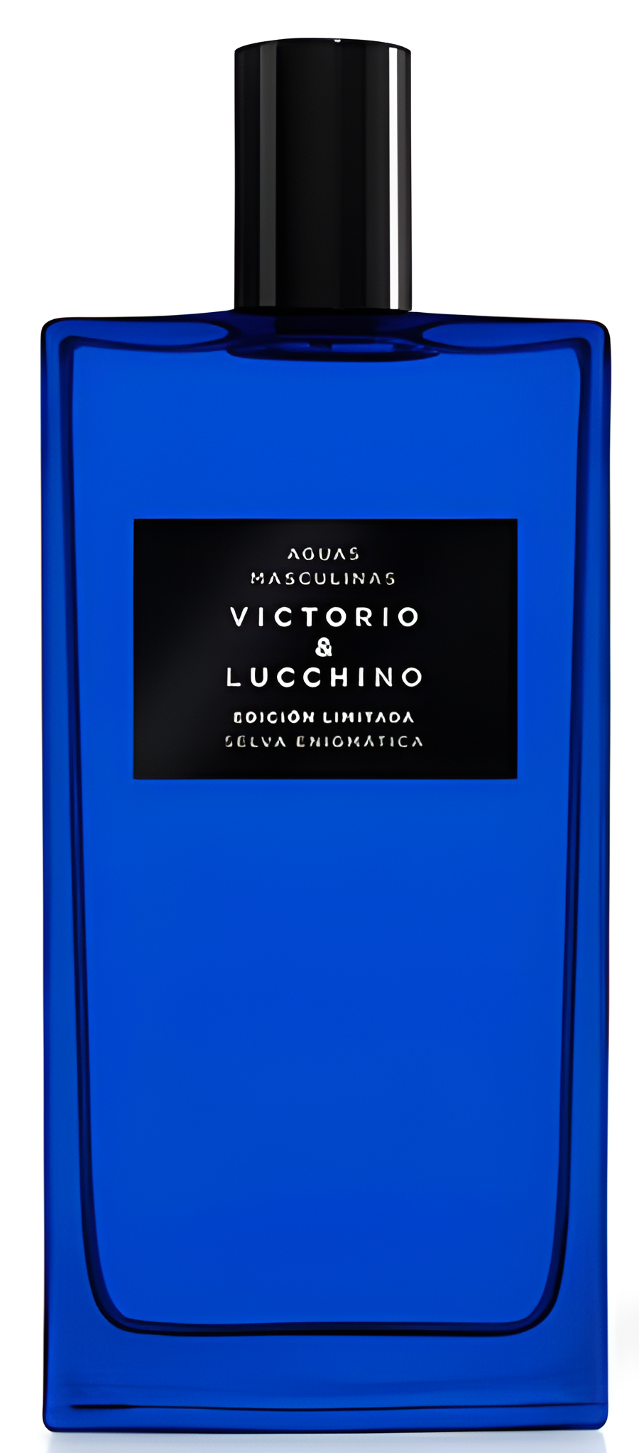 Selva Enigmática by Victorio & Lucchino perfume bottle