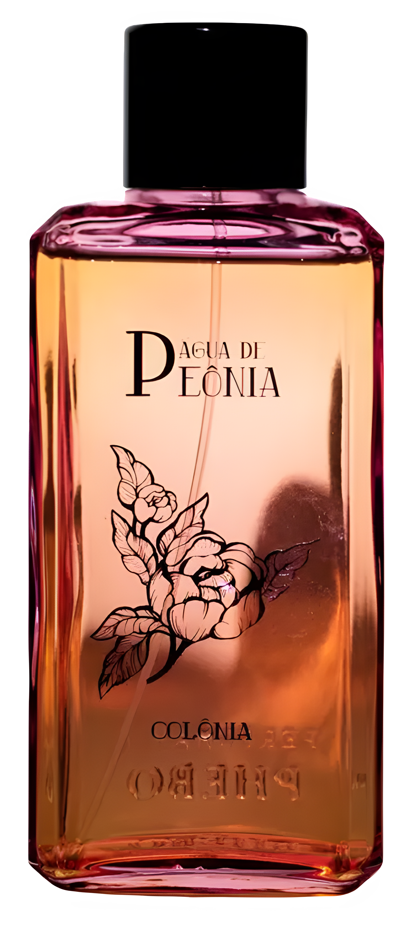 Água de Peônia by Phebo perfume bottle