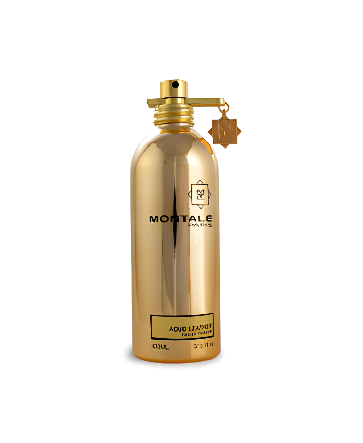 Aoud Leather by Montale perfume bottle
