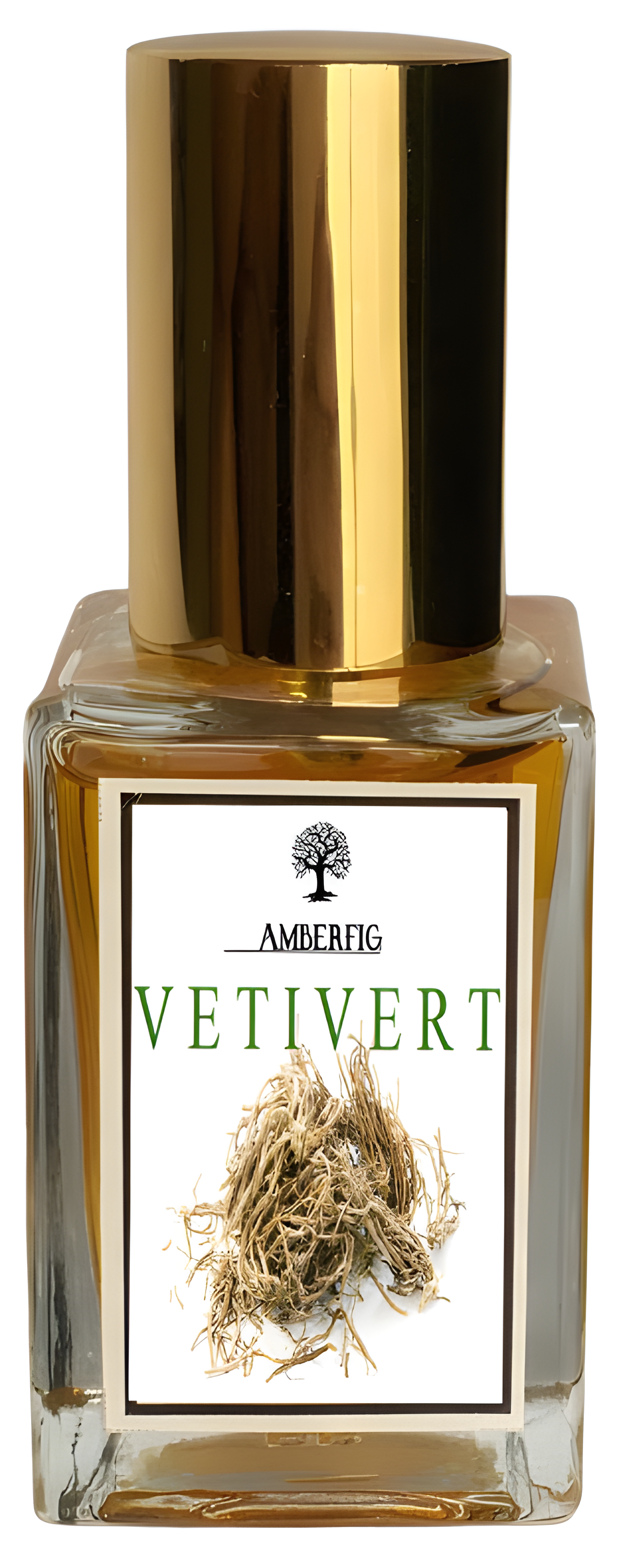 Vetivert by Amberfig perfume bottle