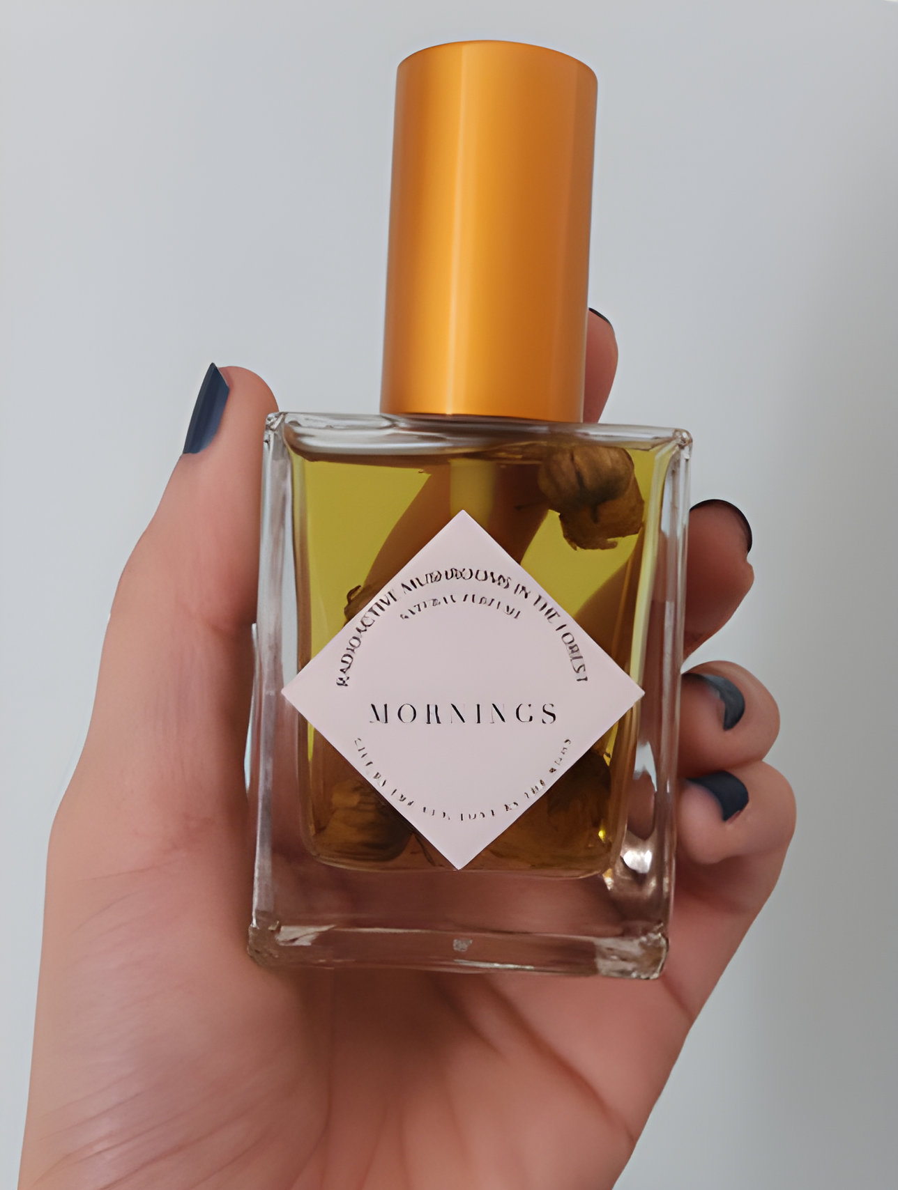 Mornings by Radioactive Mushrooms in the Forest perfume bottle