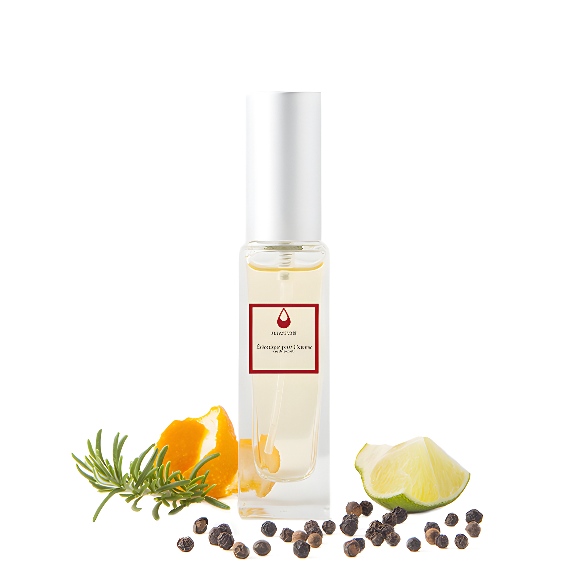 Eclectique Pour Homme by FL Parfums perfume bottle