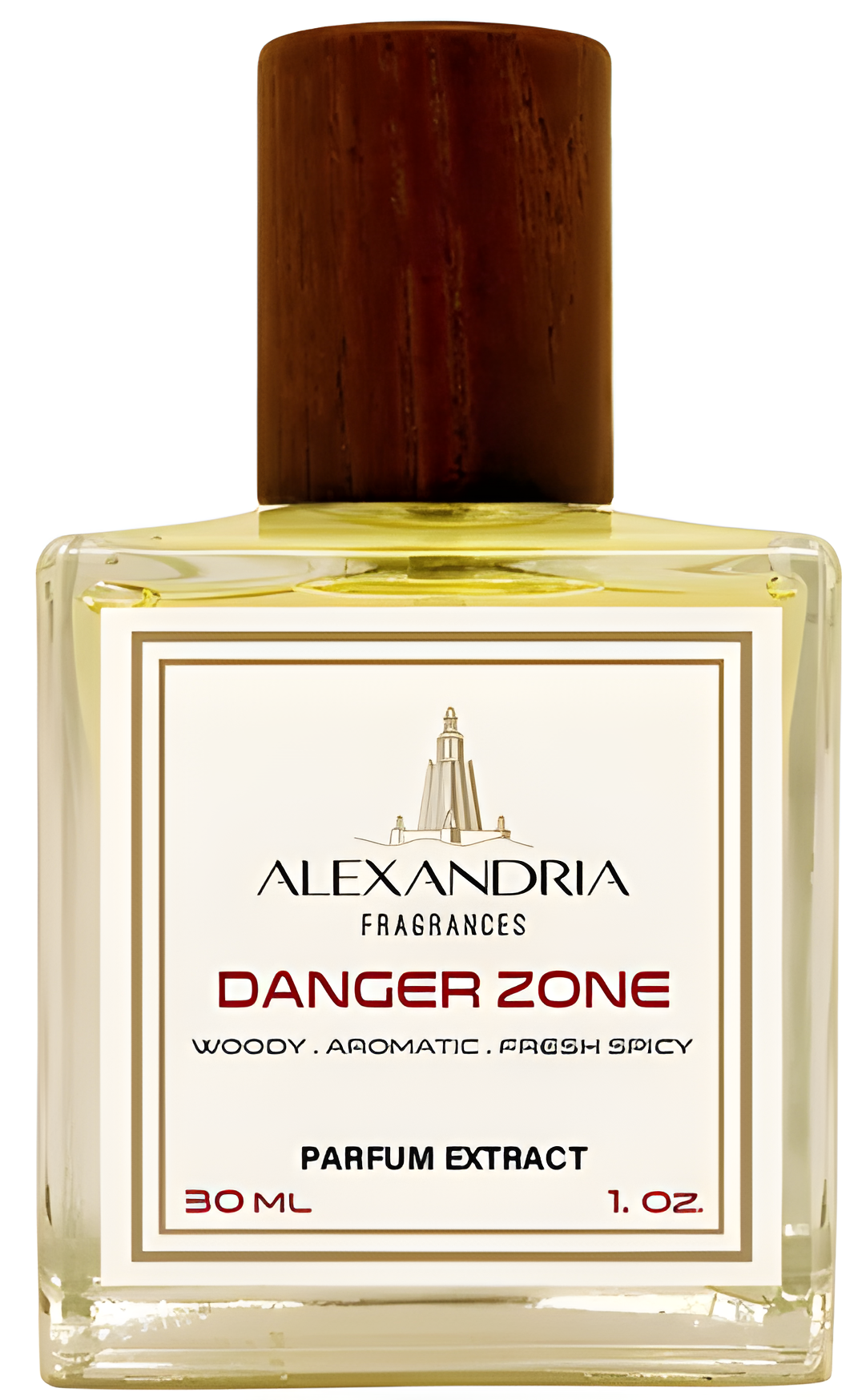 Danger Zone by Alexandria Fragrances perfume bottle