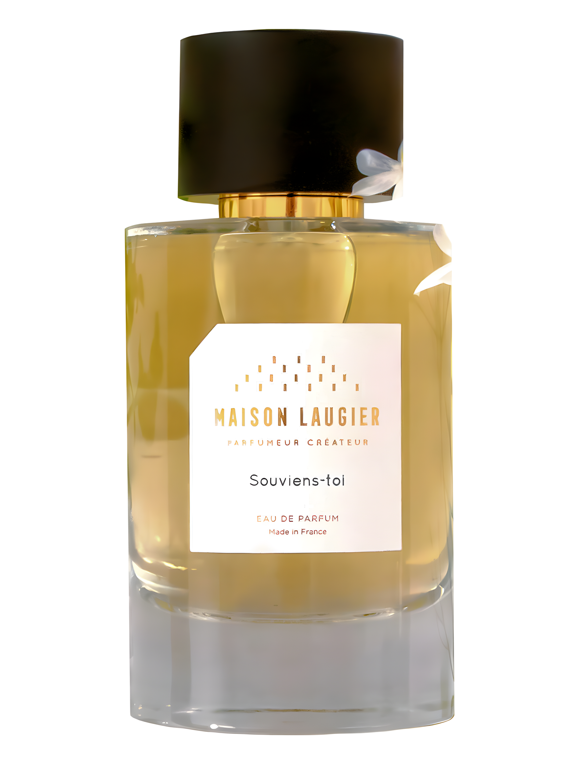 Souviens Toi by Maison Laugier perfume bottle