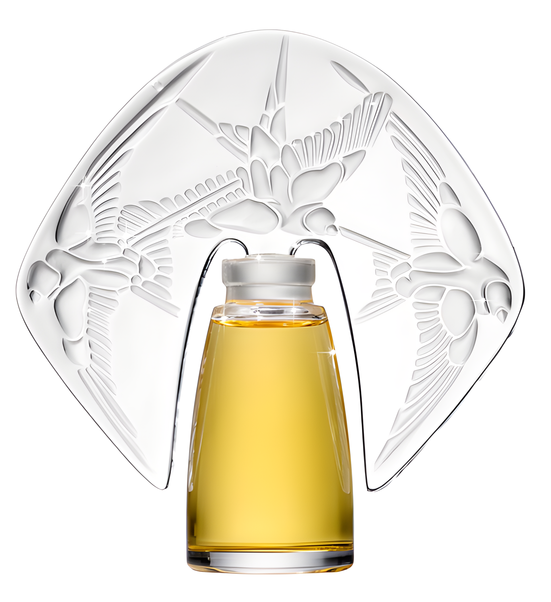 Amorem Rose by Shalini perfume bottle