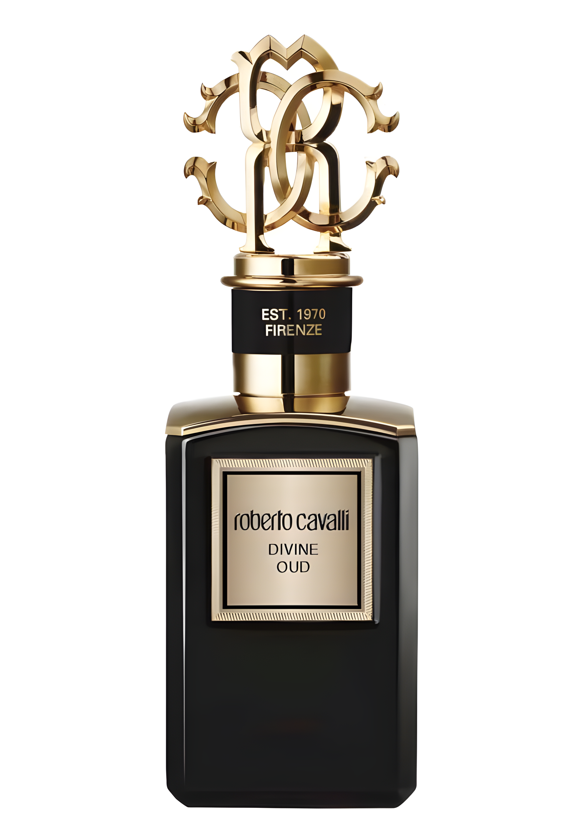 Divine Oud by Roberto Cavalli perfume bottle