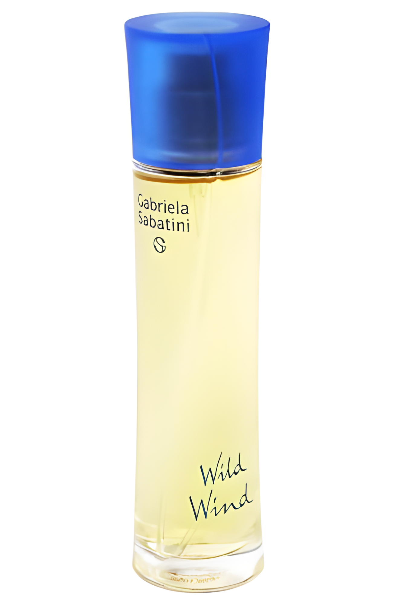 Wild Wind by Gabriela Sabatini perfume bottle