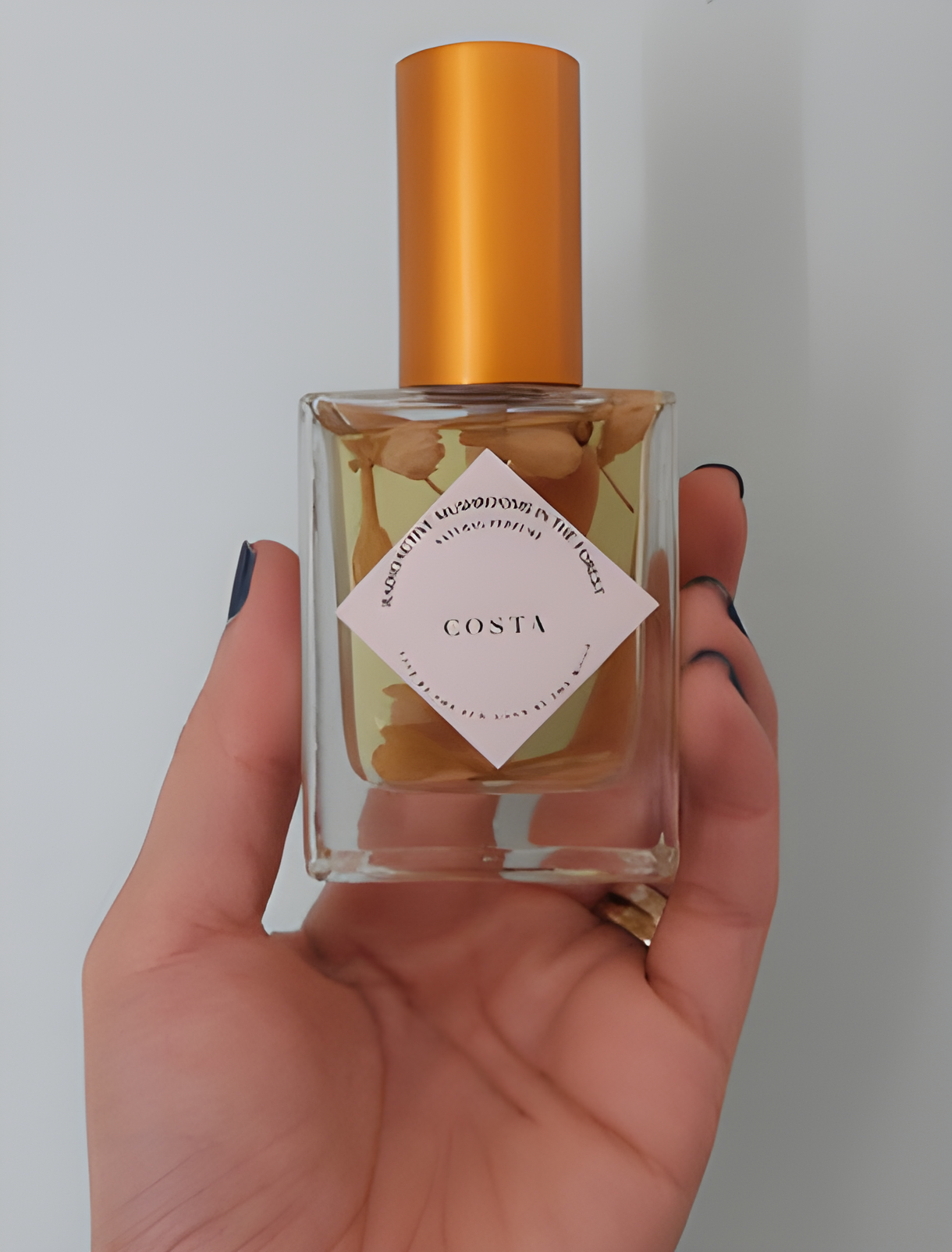 Costa by Radioactive Mushrooms in the Forest perfume bottle