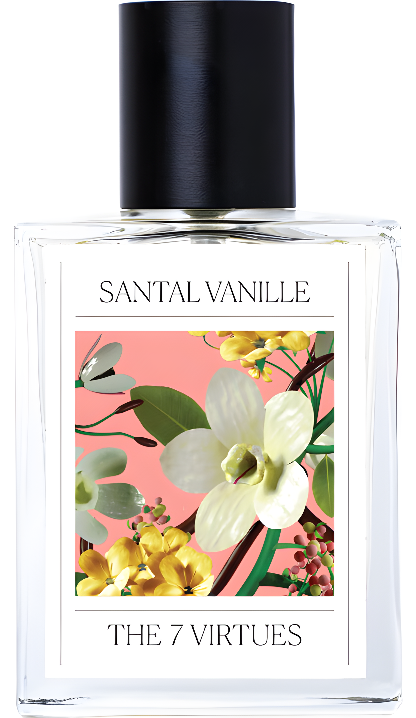 Santal Vanille by The 7 Virtues perfume bottle