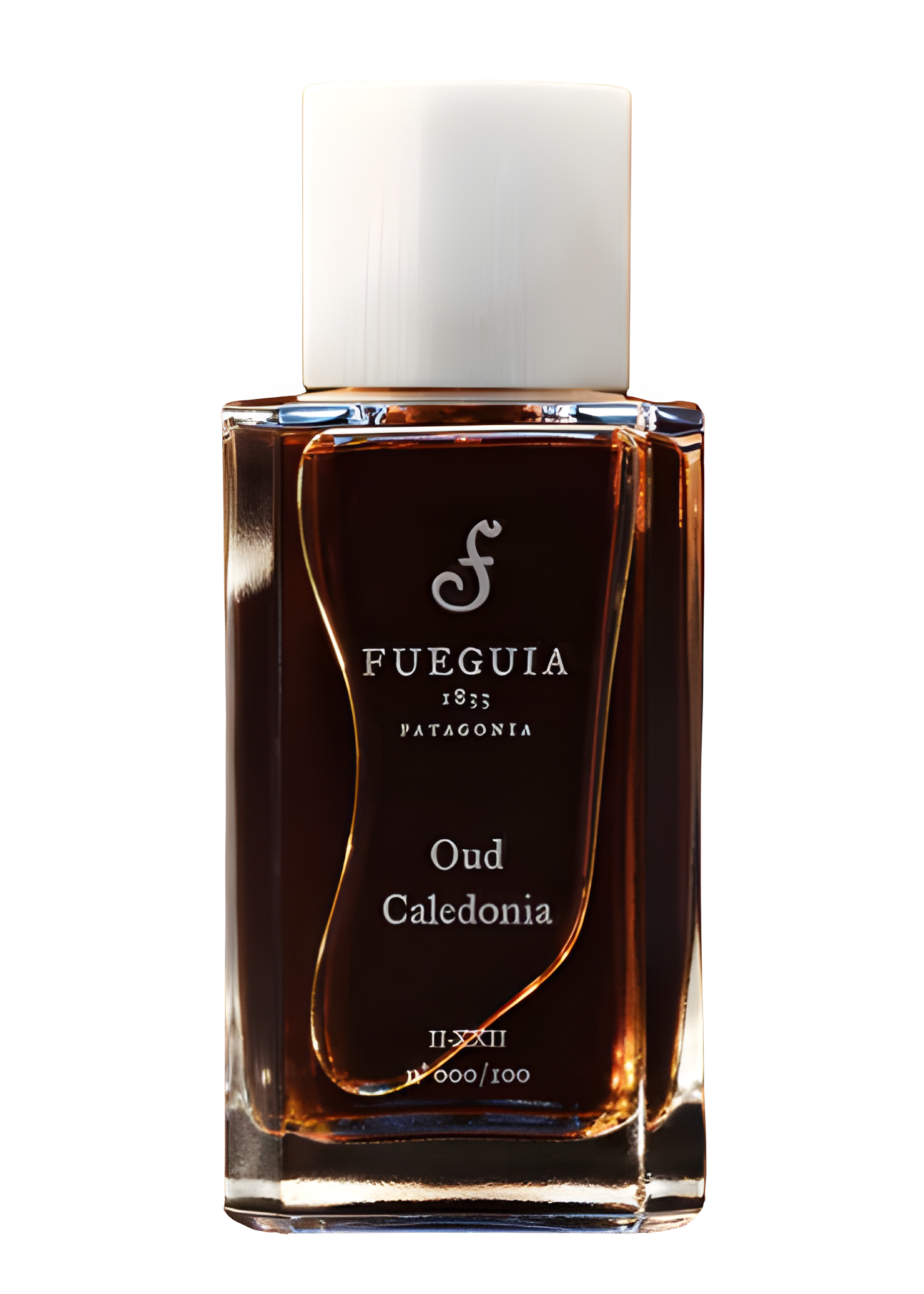 Oud Caledonia by Fueguia 1833 perfume bottle