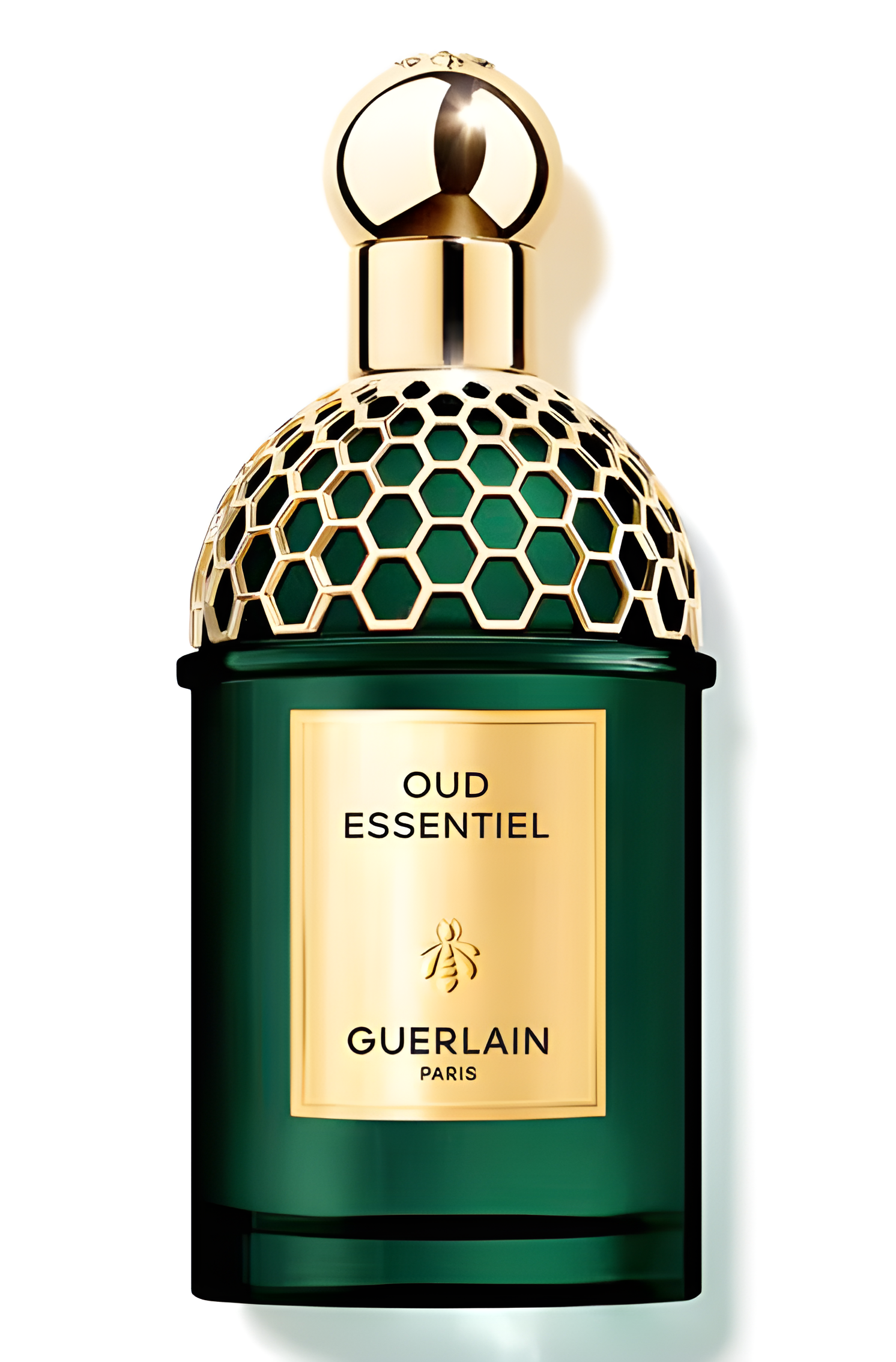 Oud Essentiel by Guerlain perfume bottle