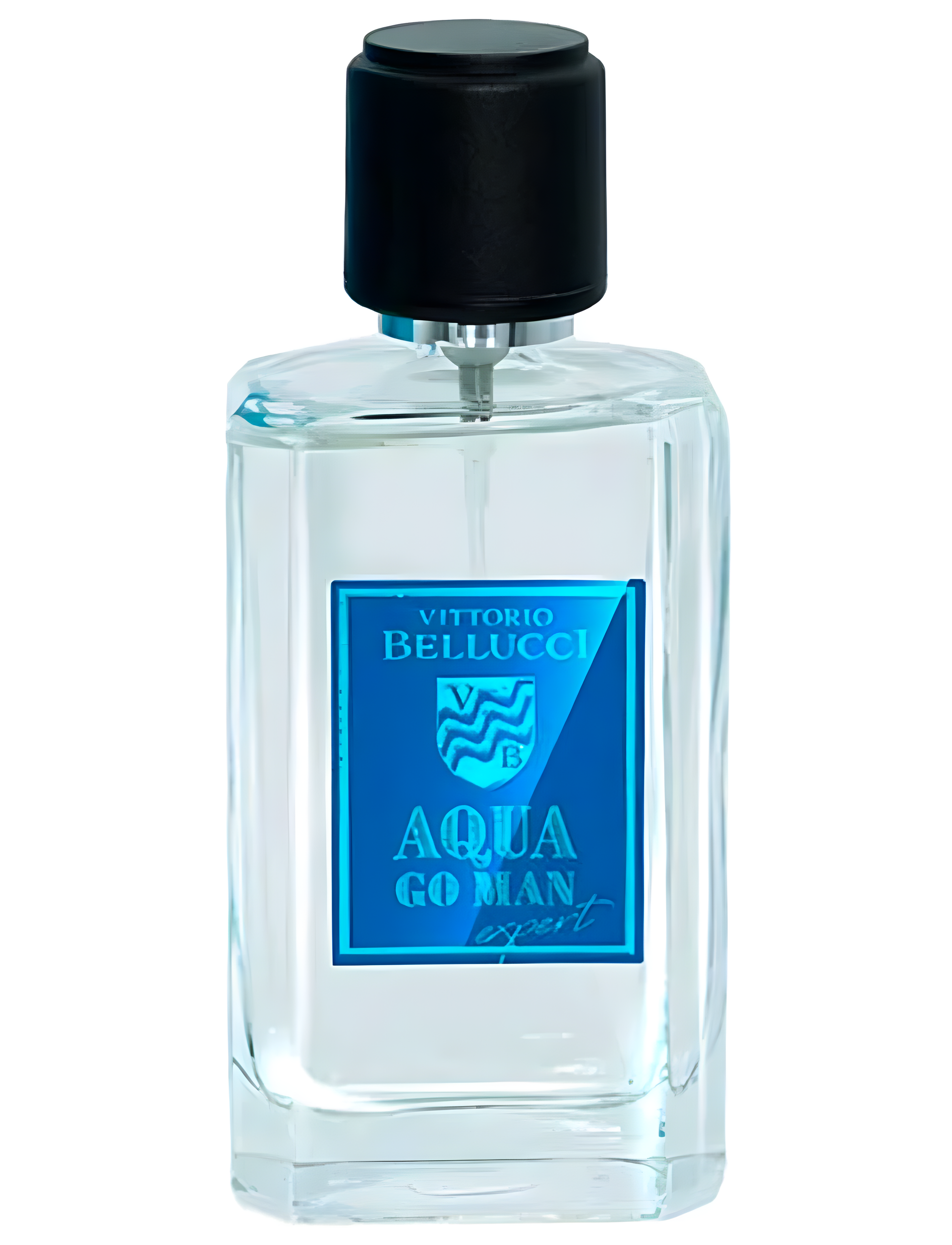 Aqua Go Man Expert by Vittorio Bellucci perfume bottle