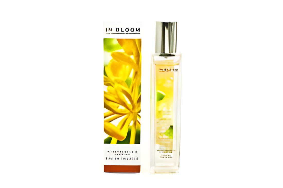 Jasmine and Honeysuckle by Marks & Spencer perfume bottle