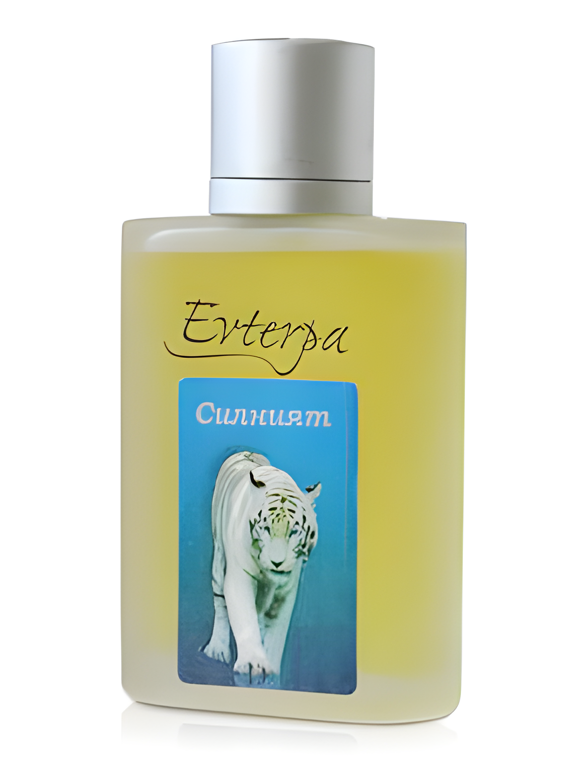 Silniyat by Evterpa perfume bottle