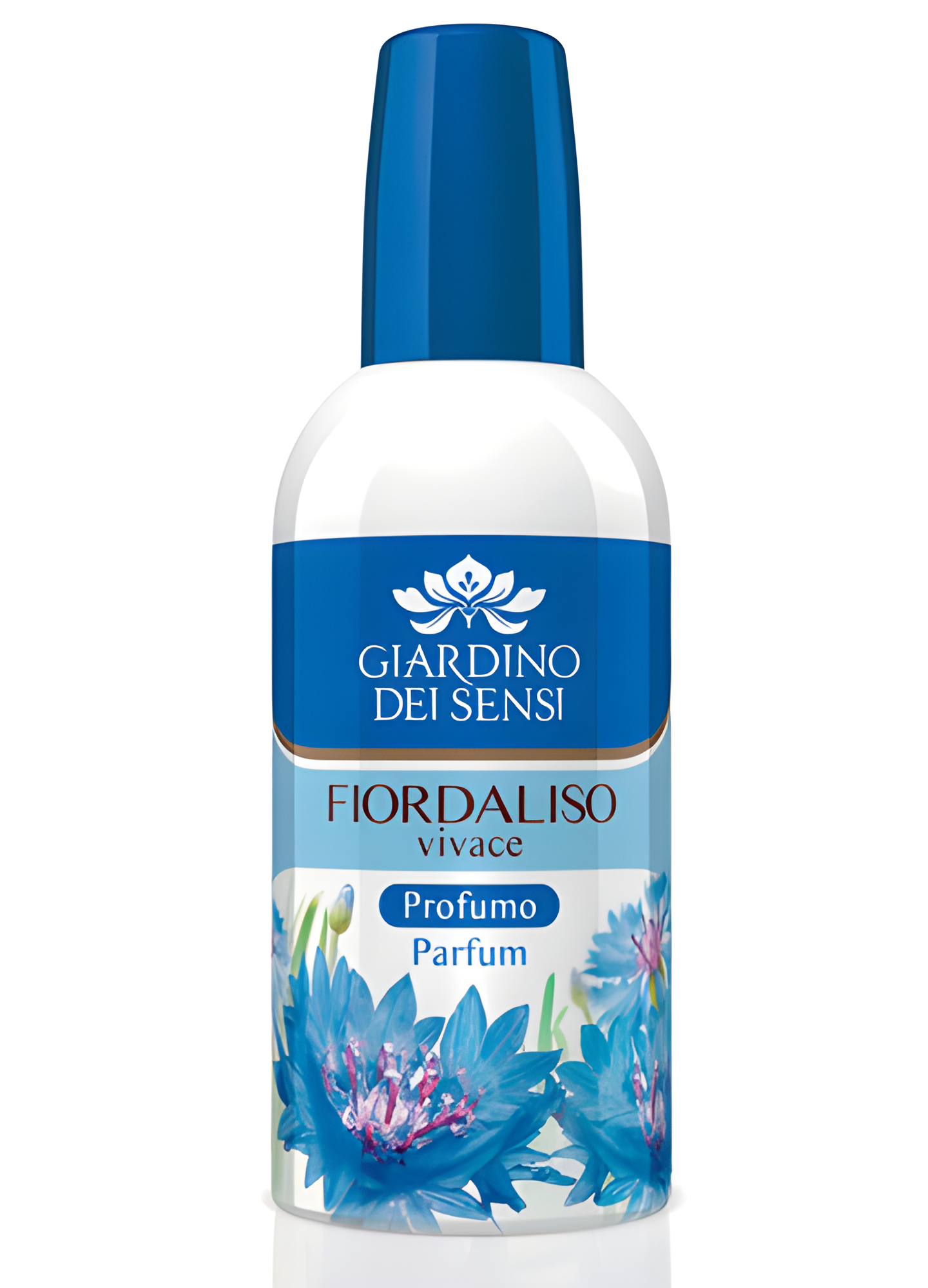Giardino Dei Sensi Fiordaliso Vivace