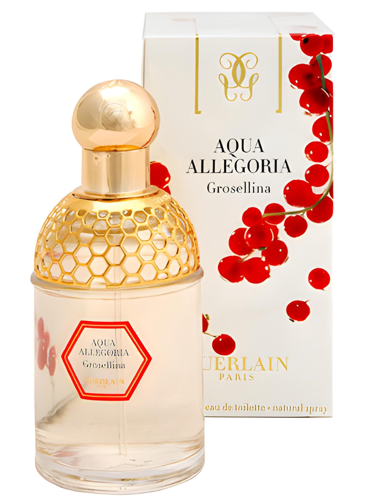 Aqua Allegoria Grosellina by Guerlain perfume bottle