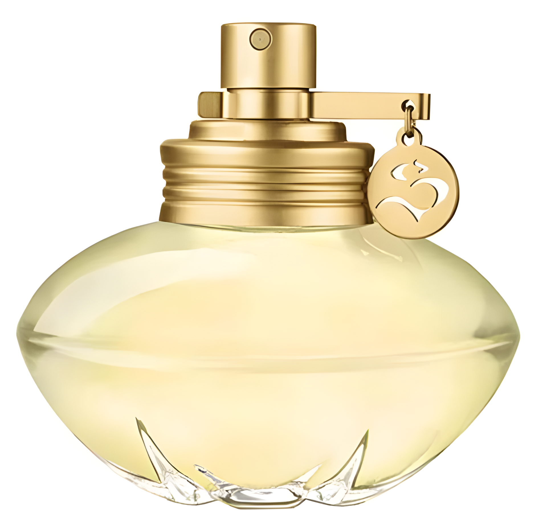 S by Shakira perfume bottle