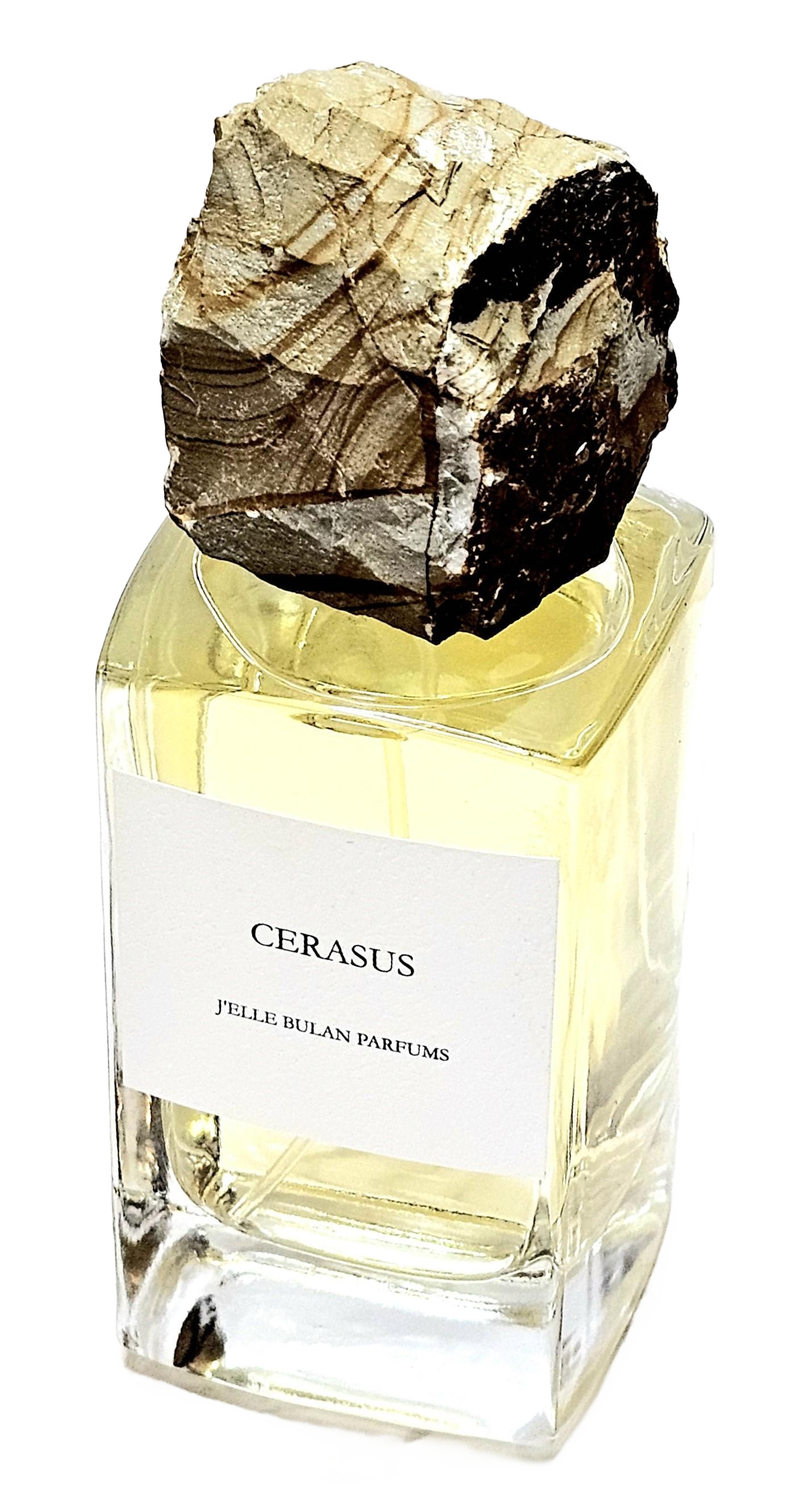 Cerasus by J'Elle Bulan Parfums perfume bottle