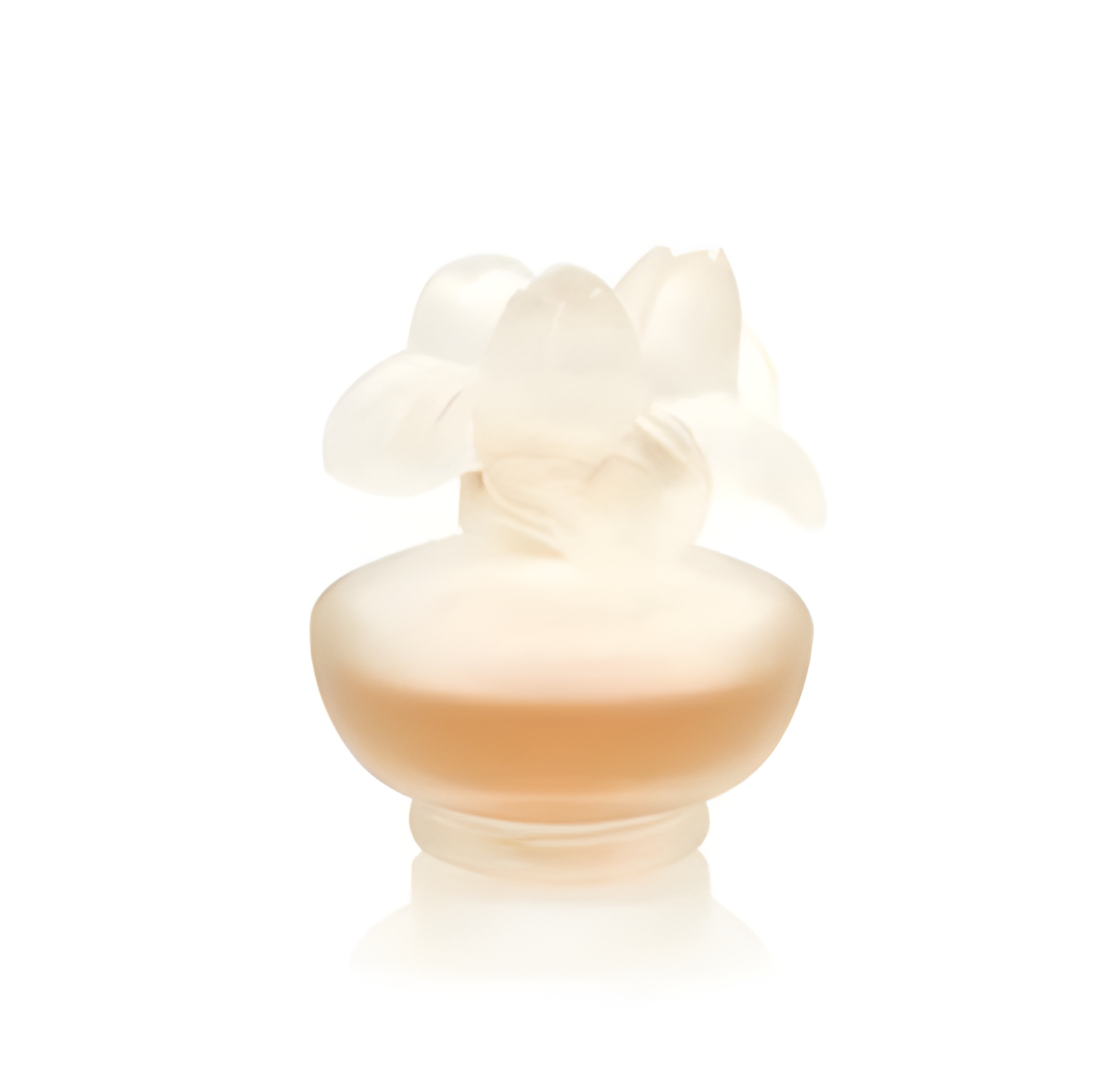 Rose Nuage by Pupa perfume bottle