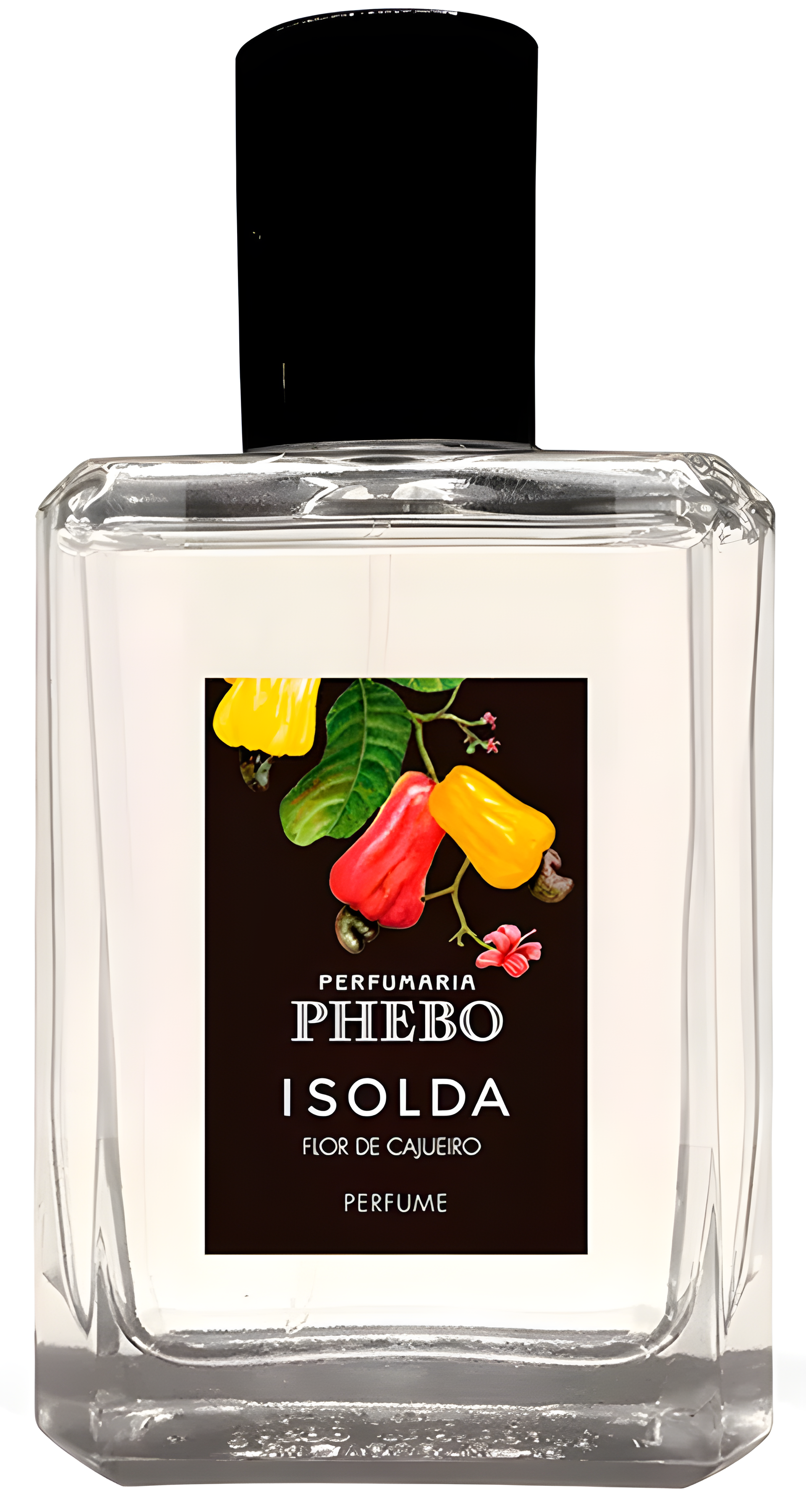 Isolda Flor de Cajueiro by Phebo perfume bottle