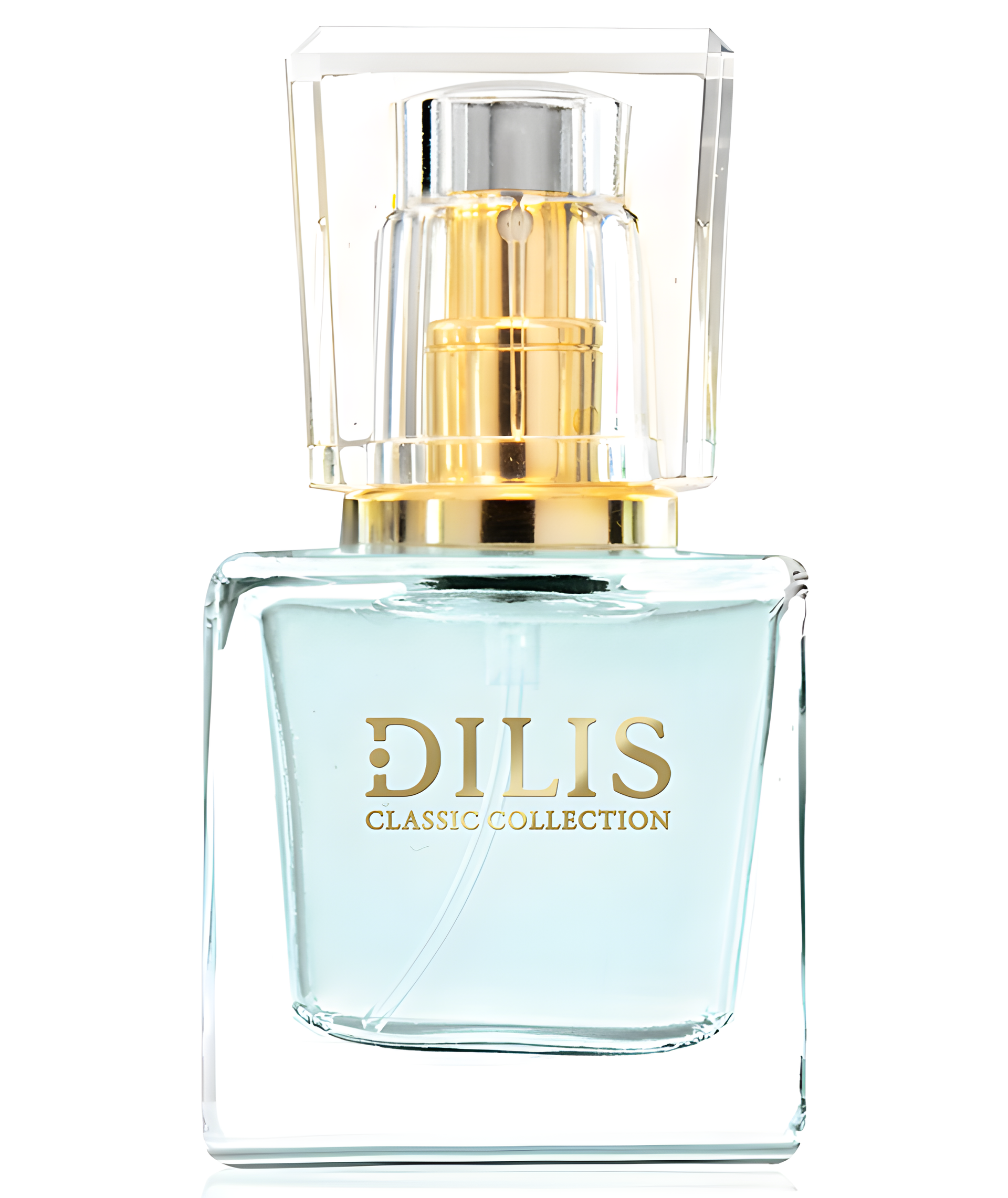 Dilis Classic Collection No. 22 by Dilís Parfum perfume bottle