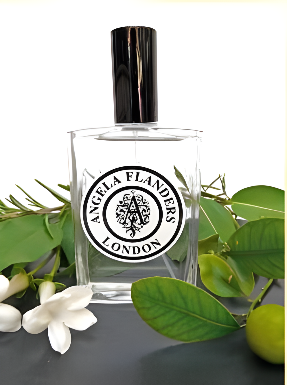 No.1 Le Premier by Angela Flanders perfume bottle
