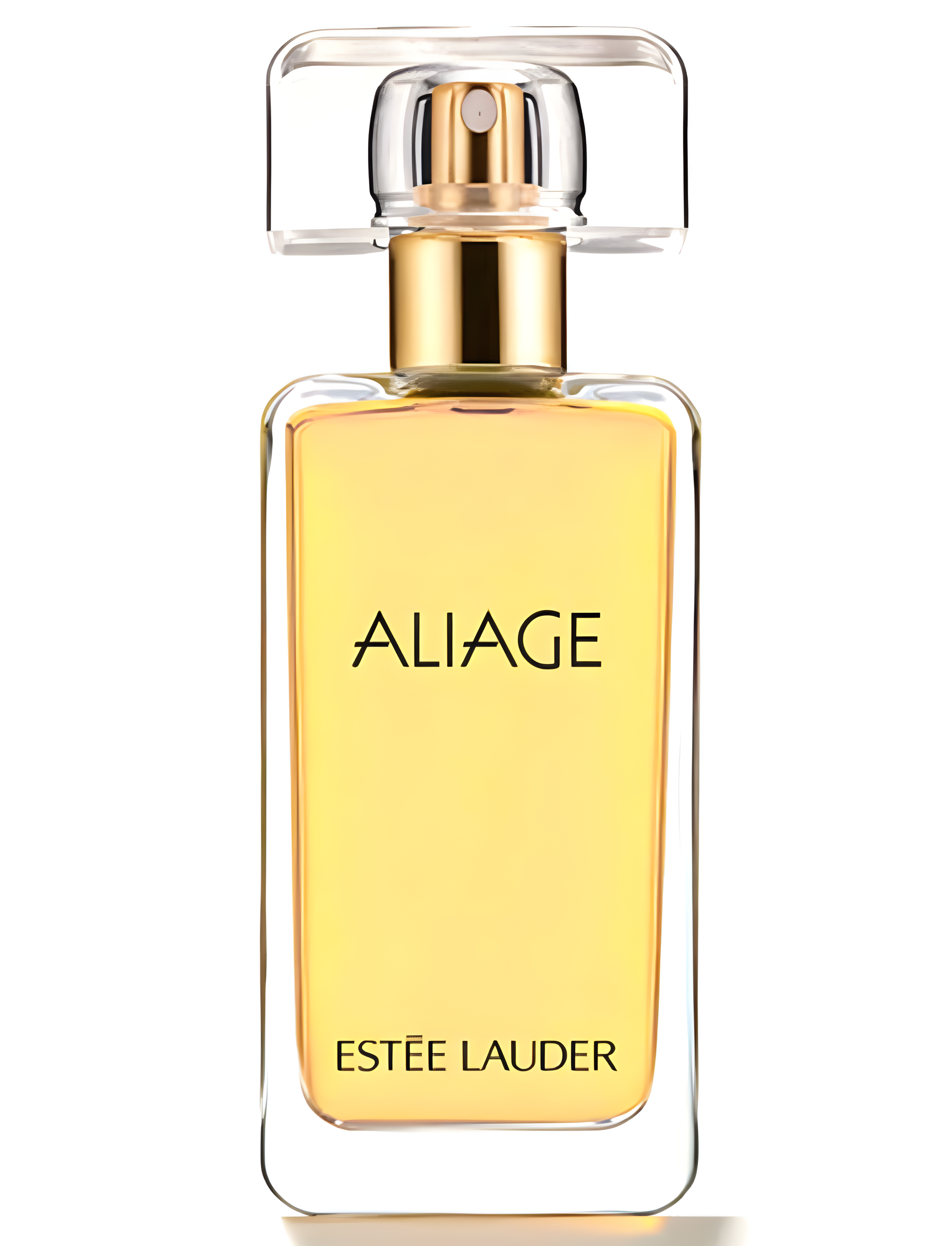 Aliage by Estée Lauder perfume bottle