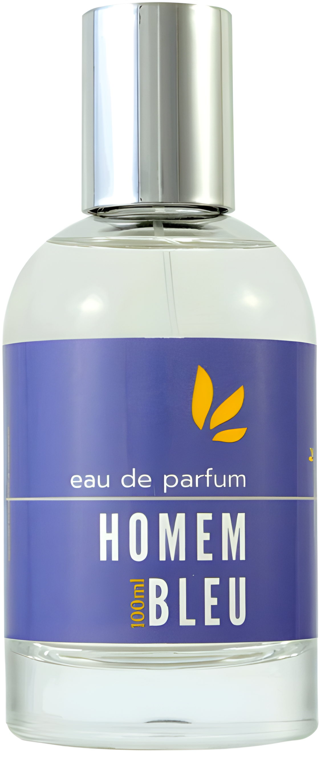 Homem Bleu by Maracujá Brasil perfume bottle