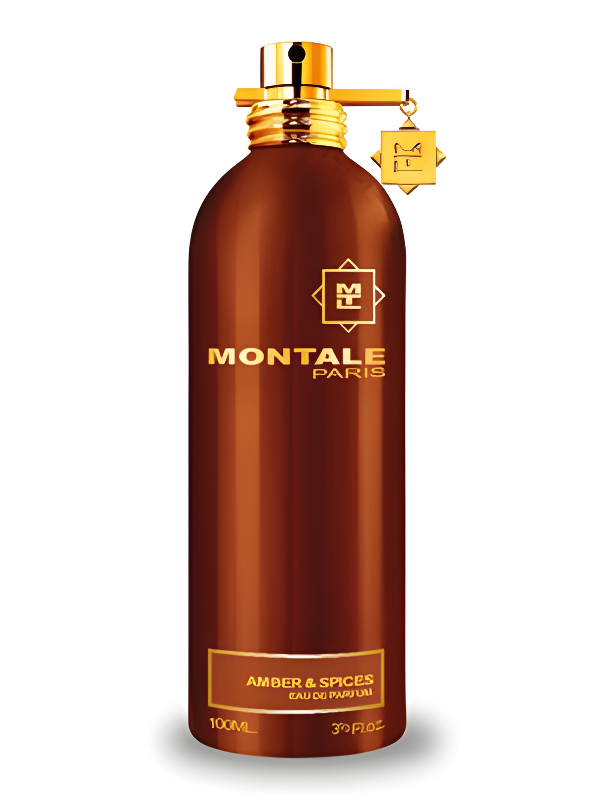 Amber & Spices by Montale perfume bottle