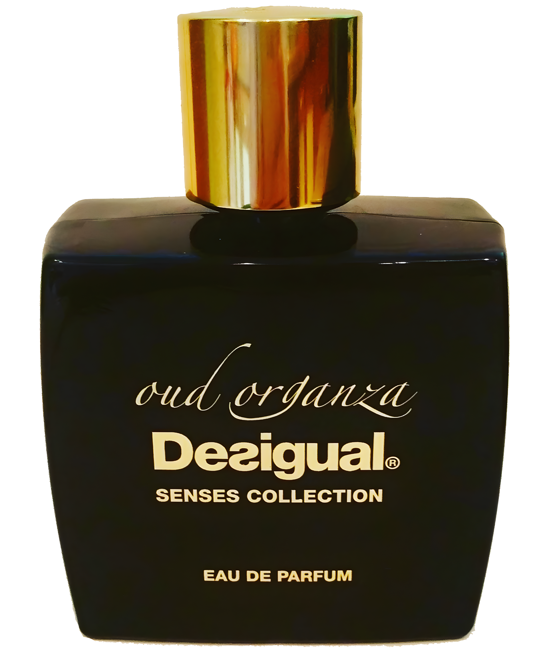Oud Organza by Desigual perfume bottle