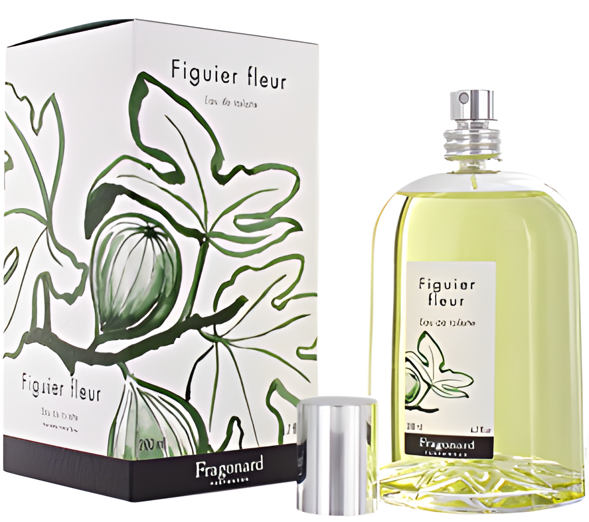 Les Naturelles: Figuier Fleur by Fragonard perfume bottle