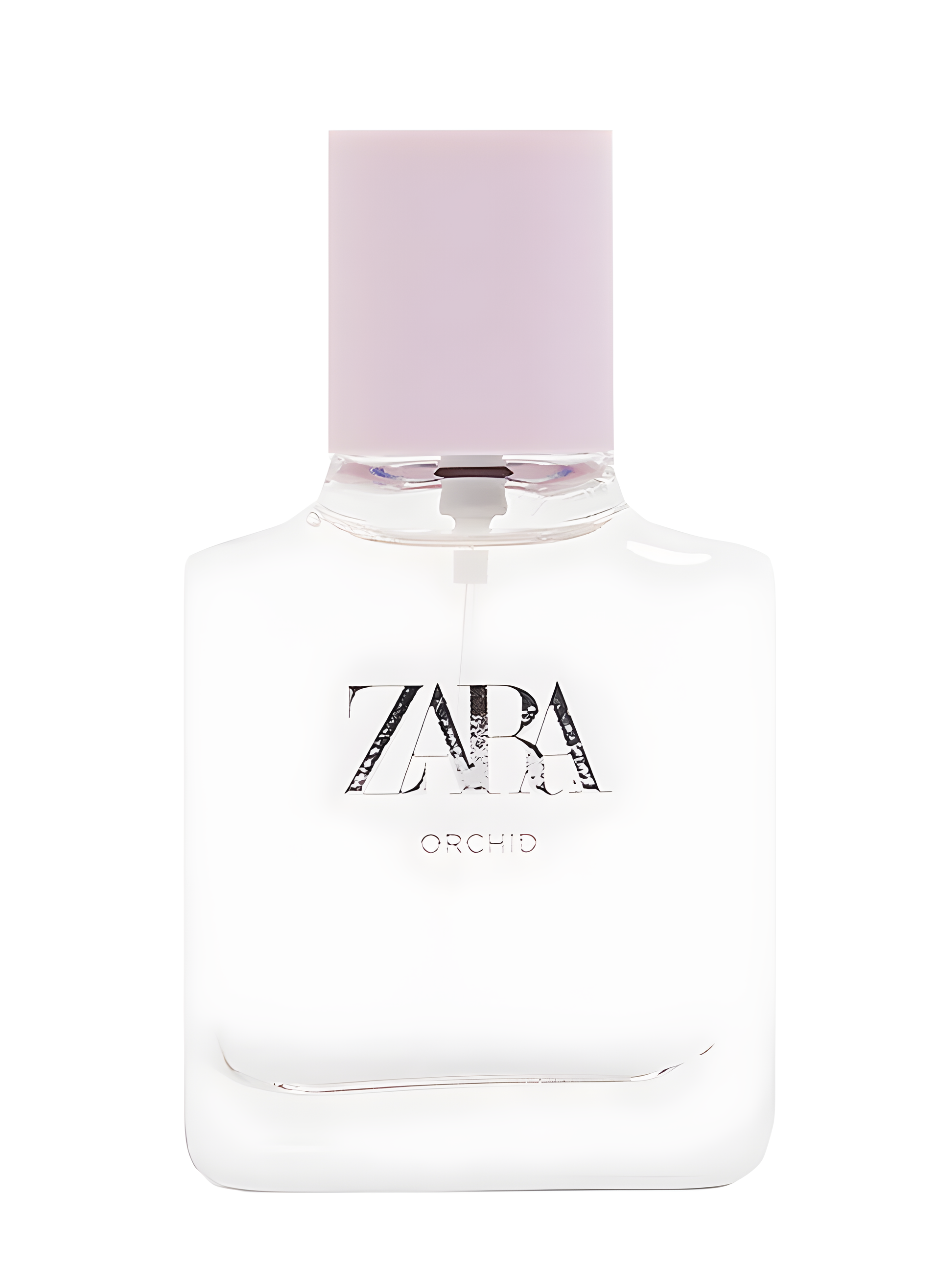 Orchid 2019 by Zara perfume bottle