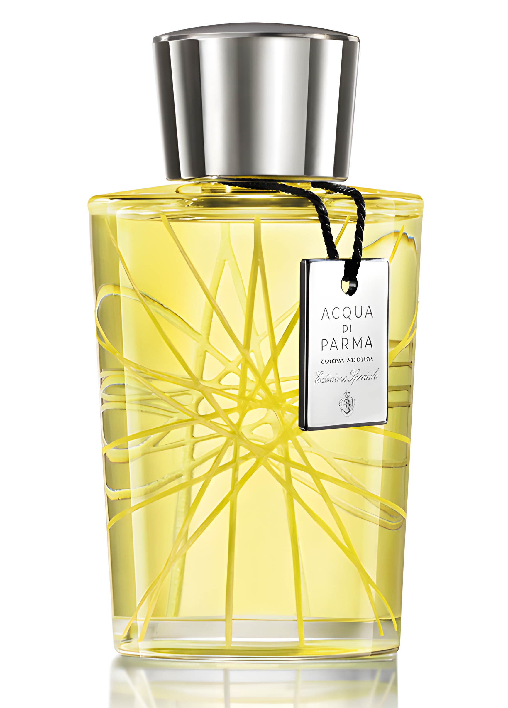 Colonia Assoluta Edizione Speciale 2013 by Acqua di Parma perfume bottle